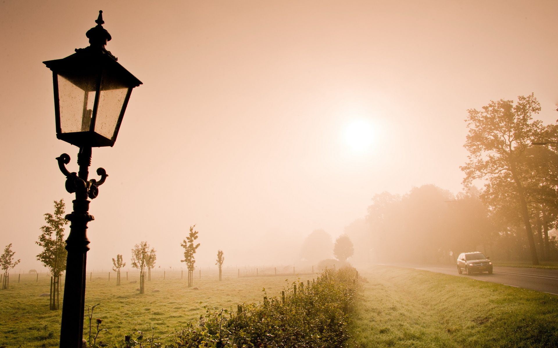 1920x1200 Desktop wallpaper: Man Made, Lamp Post, Fog, Landscape 4K free download for PC. 250218