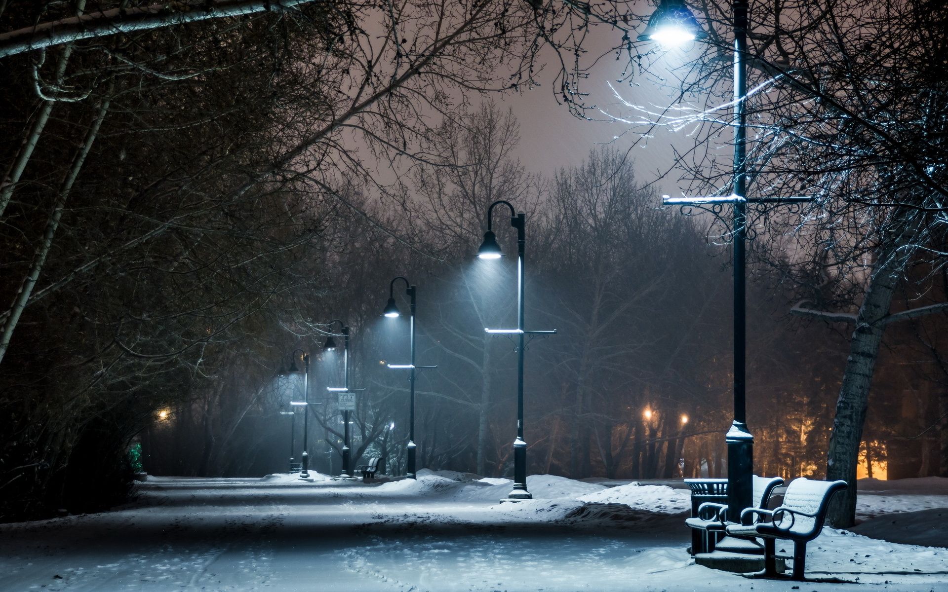 1920x1200 park, Winter, Snow, Bench, Lights, Lamp, Post, Night, Path, Trail Wallpaper HD / Desktop and Mobile Background