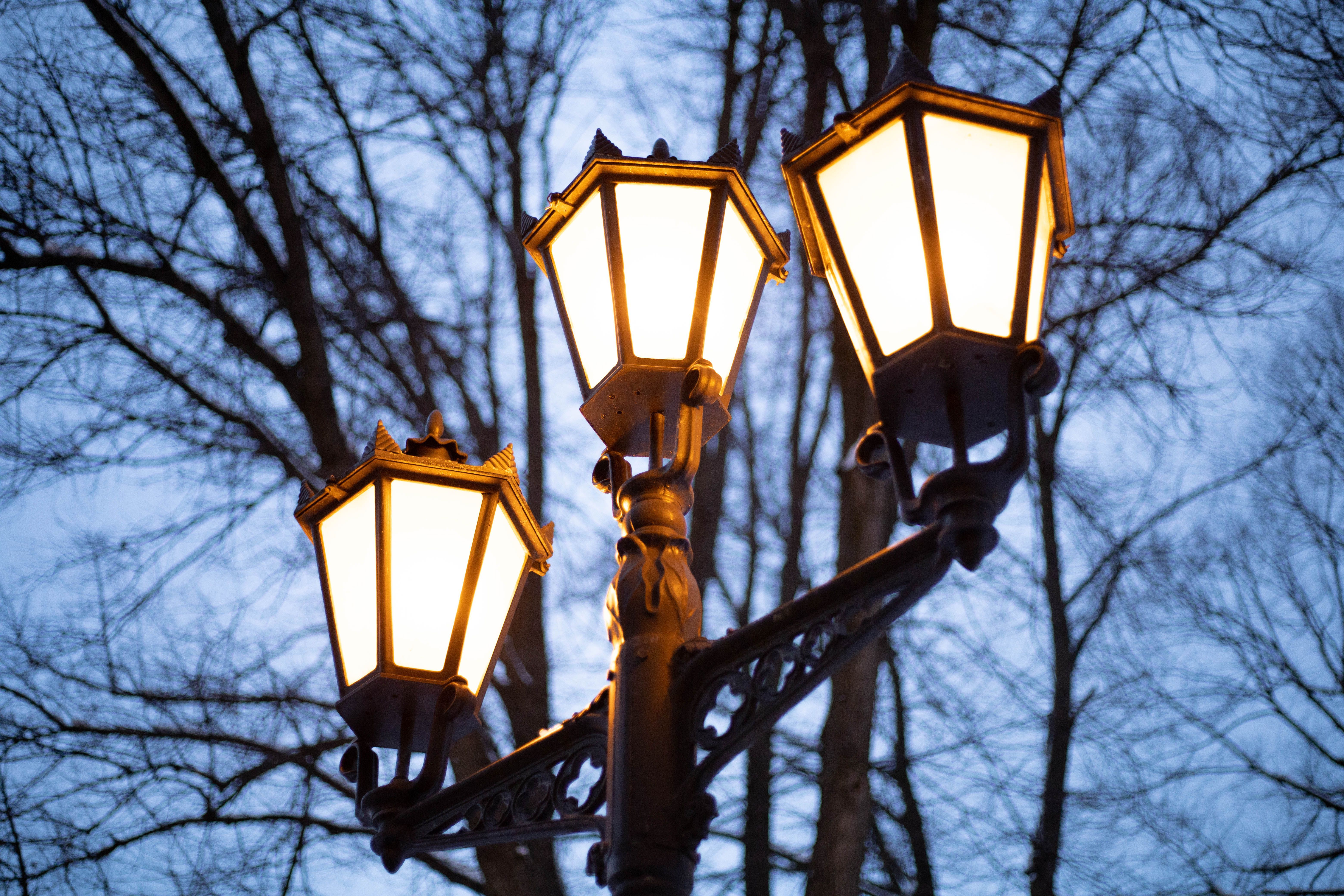 6240x4160 Lights of Lamp in Park · Free