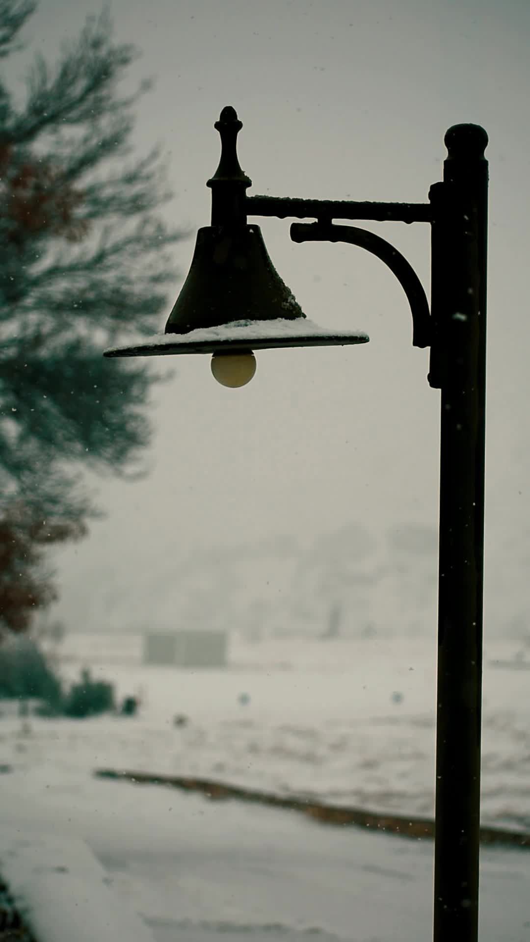 1080x1920 Snowy Street Scene with Vintage Lamp Post