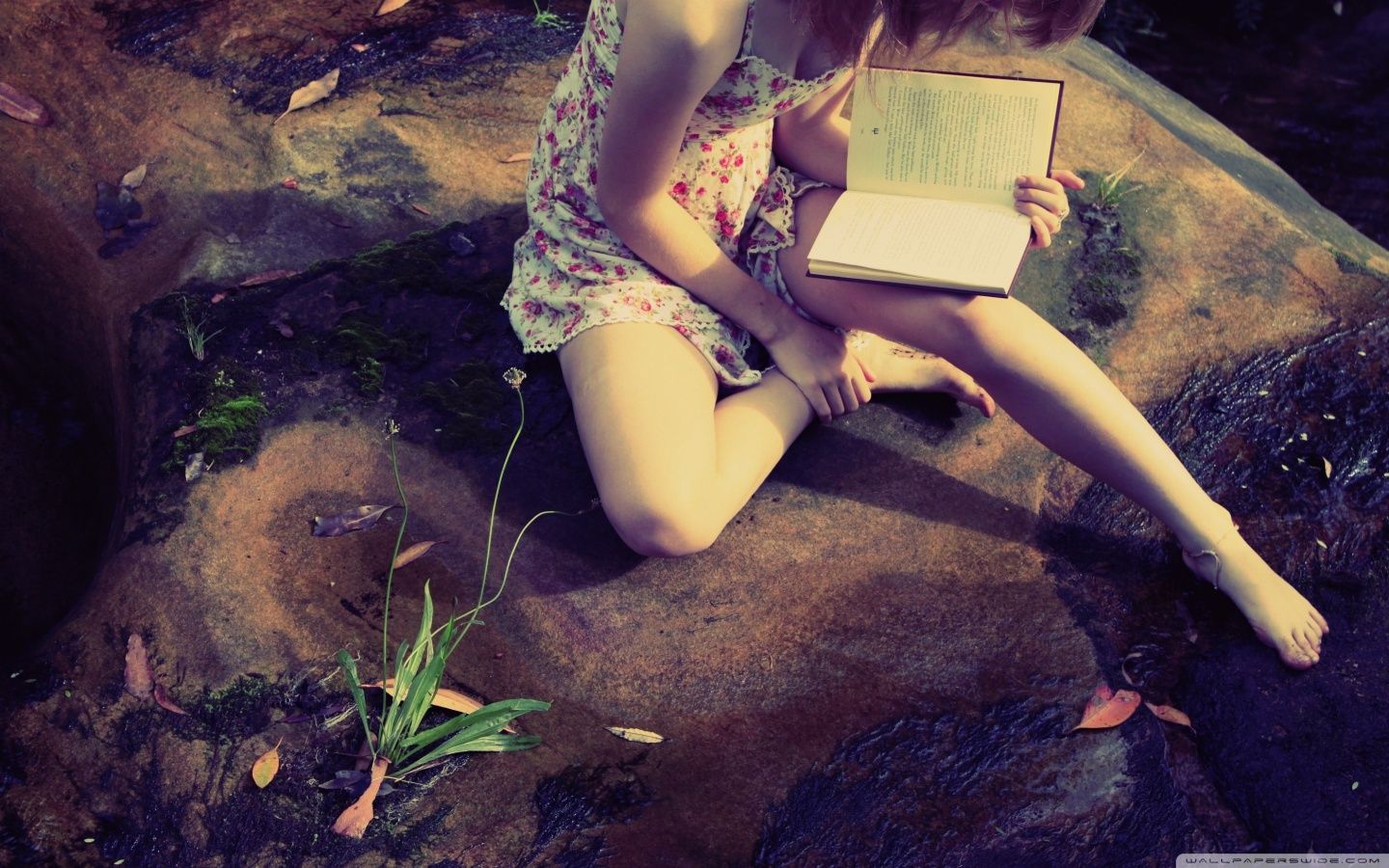 1440x900 Girl reading