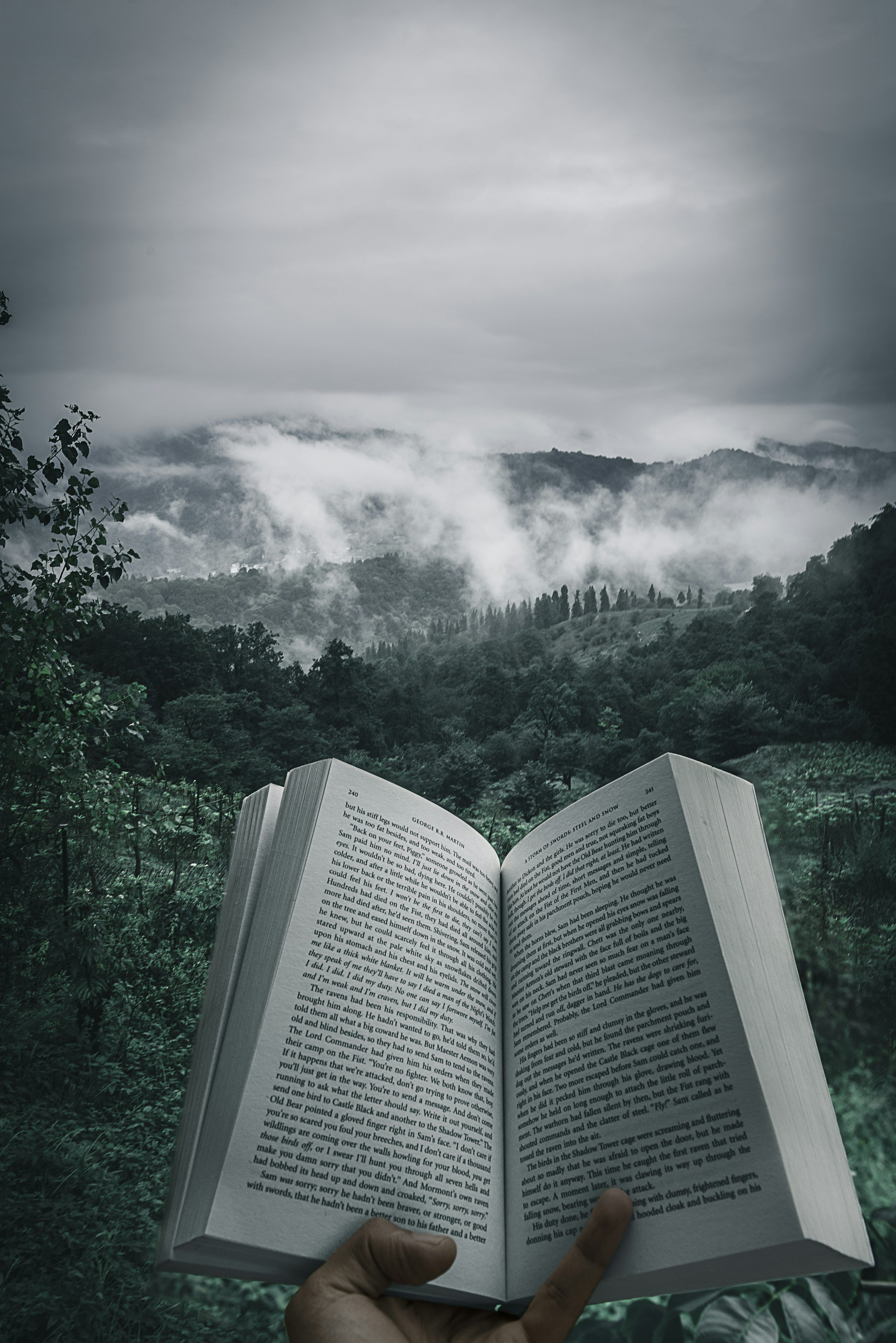 3000x4495 Reading Books Picture. Download Free Image