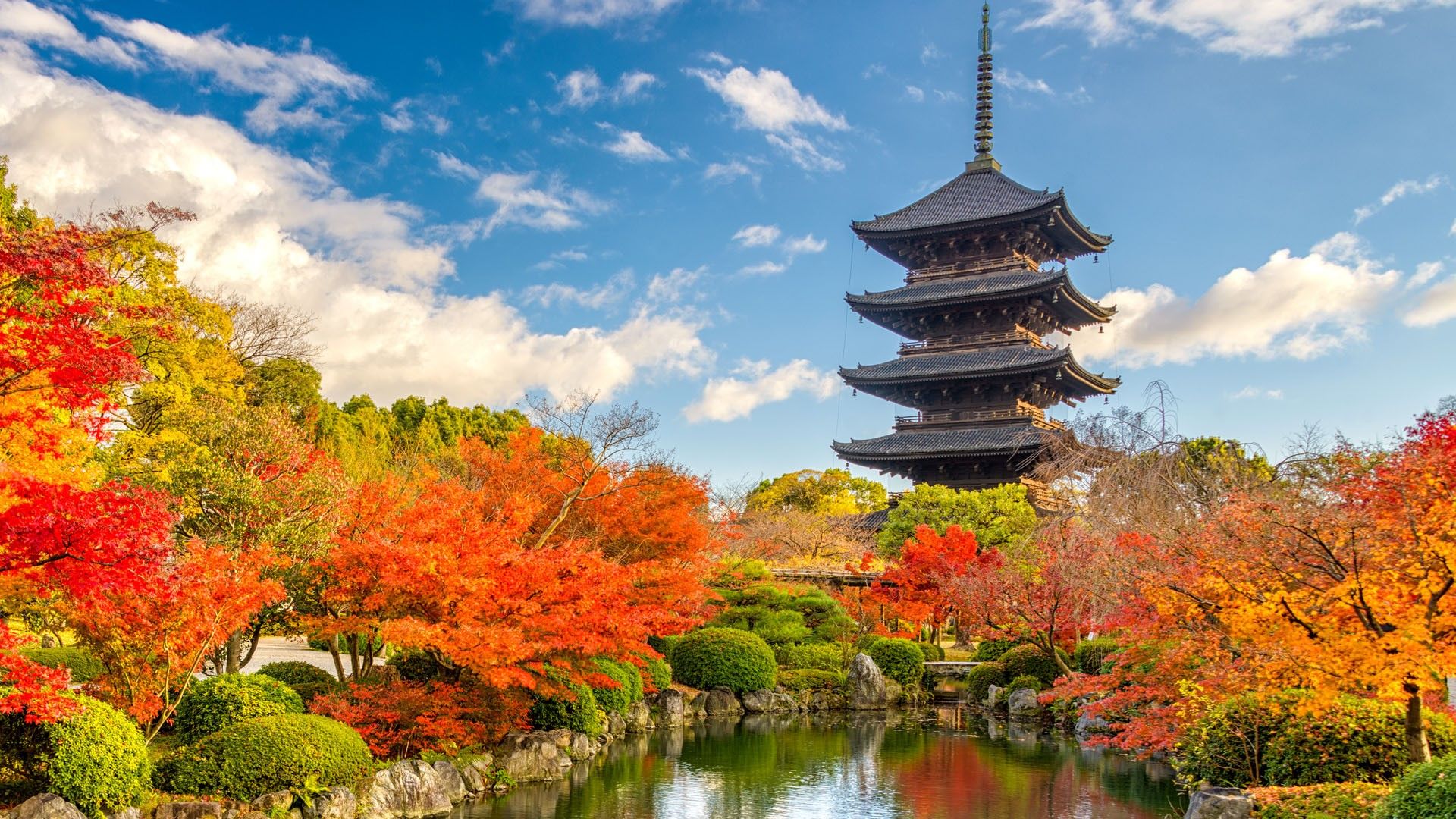 1920x1080 Five Story Pagoda Of Tō Ji Shingon Buddhist Temple In Autumn, Kyoto, Japan. Windows Spotlight Image