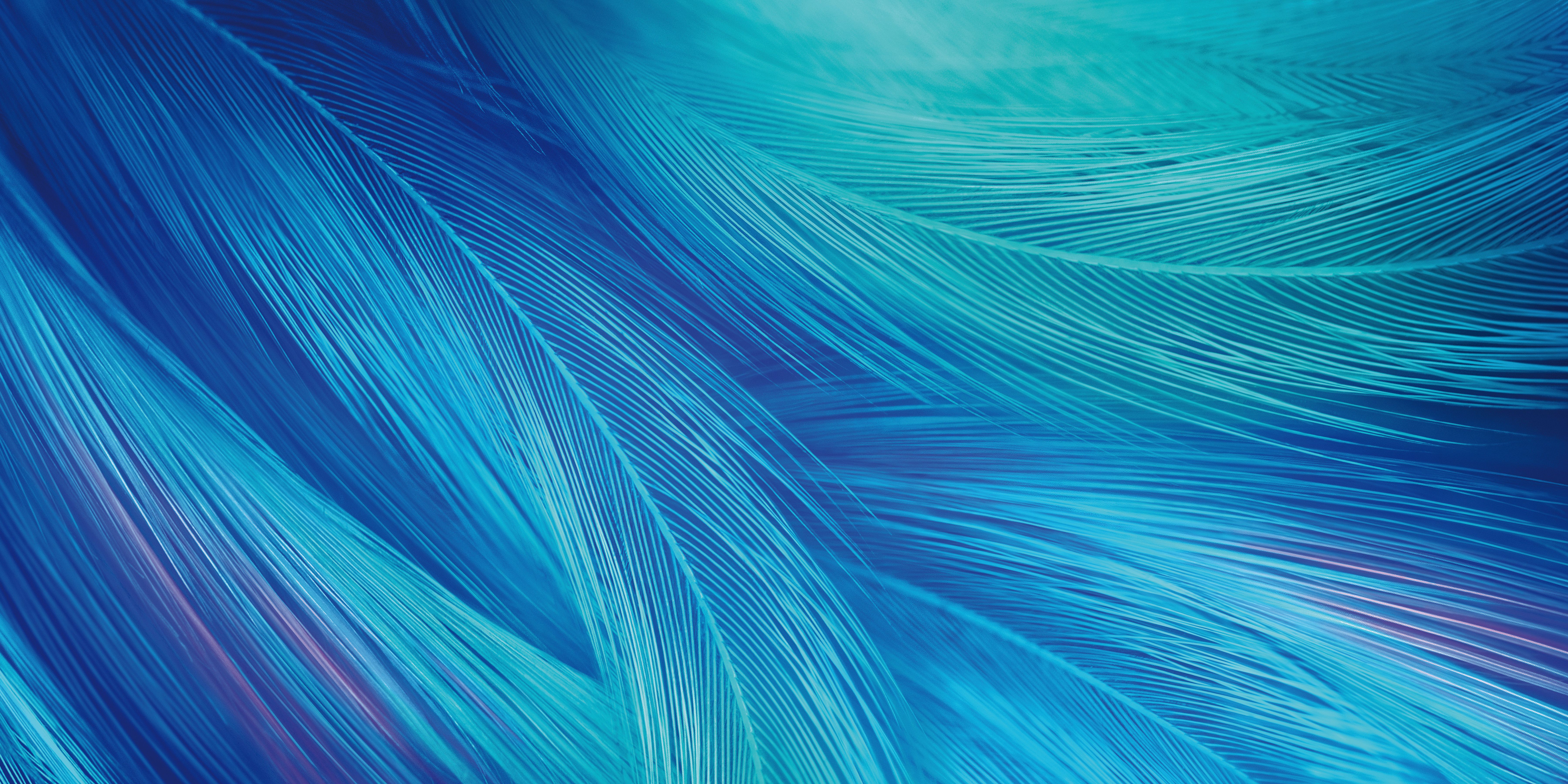 7200x3600 Neon wallpaper for smartphone Vivo X27 Desktop wallpaper 640x960