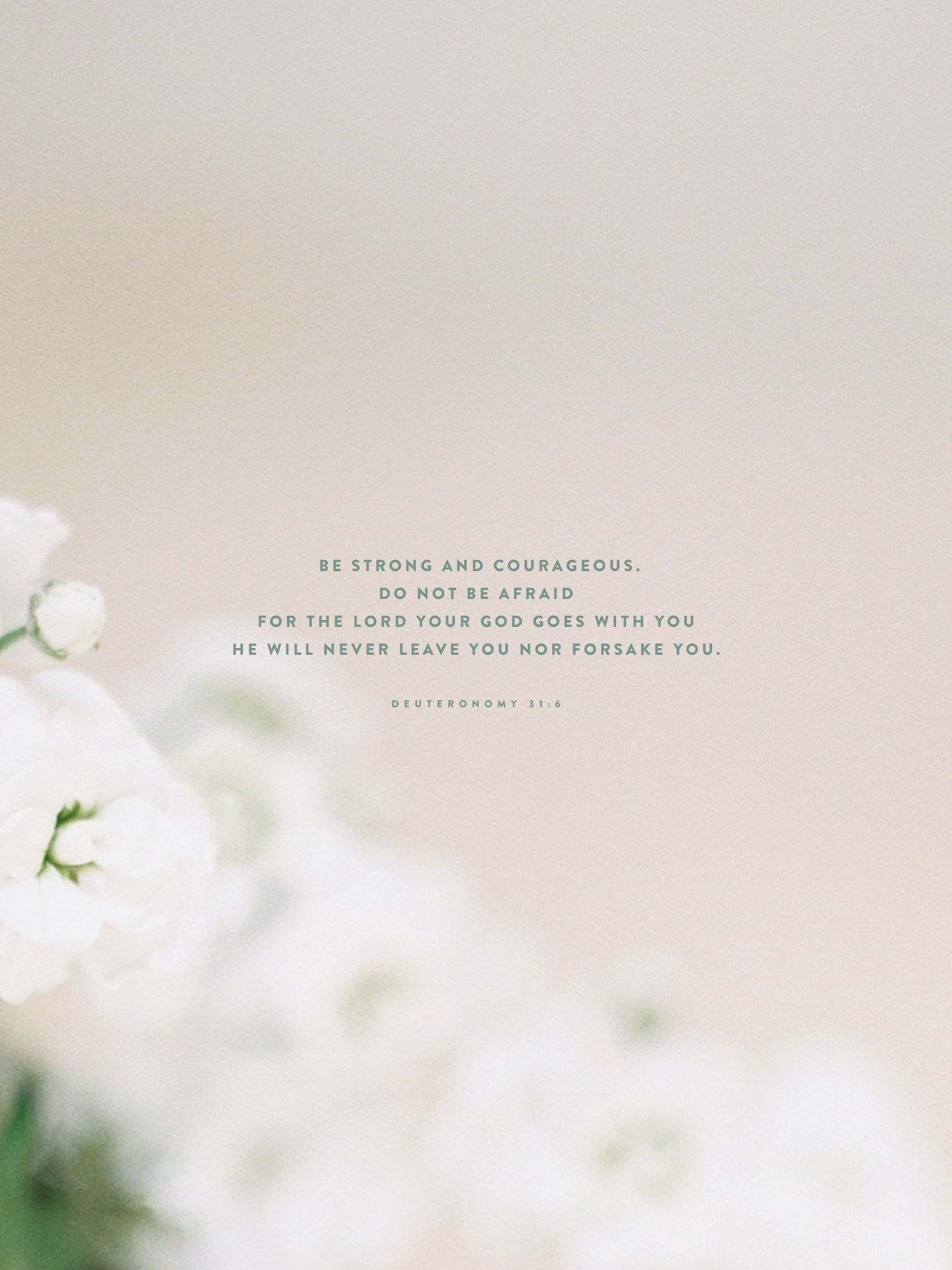 1536x2048 October Background: Free Download for Your Phone, Tablet or Desktop