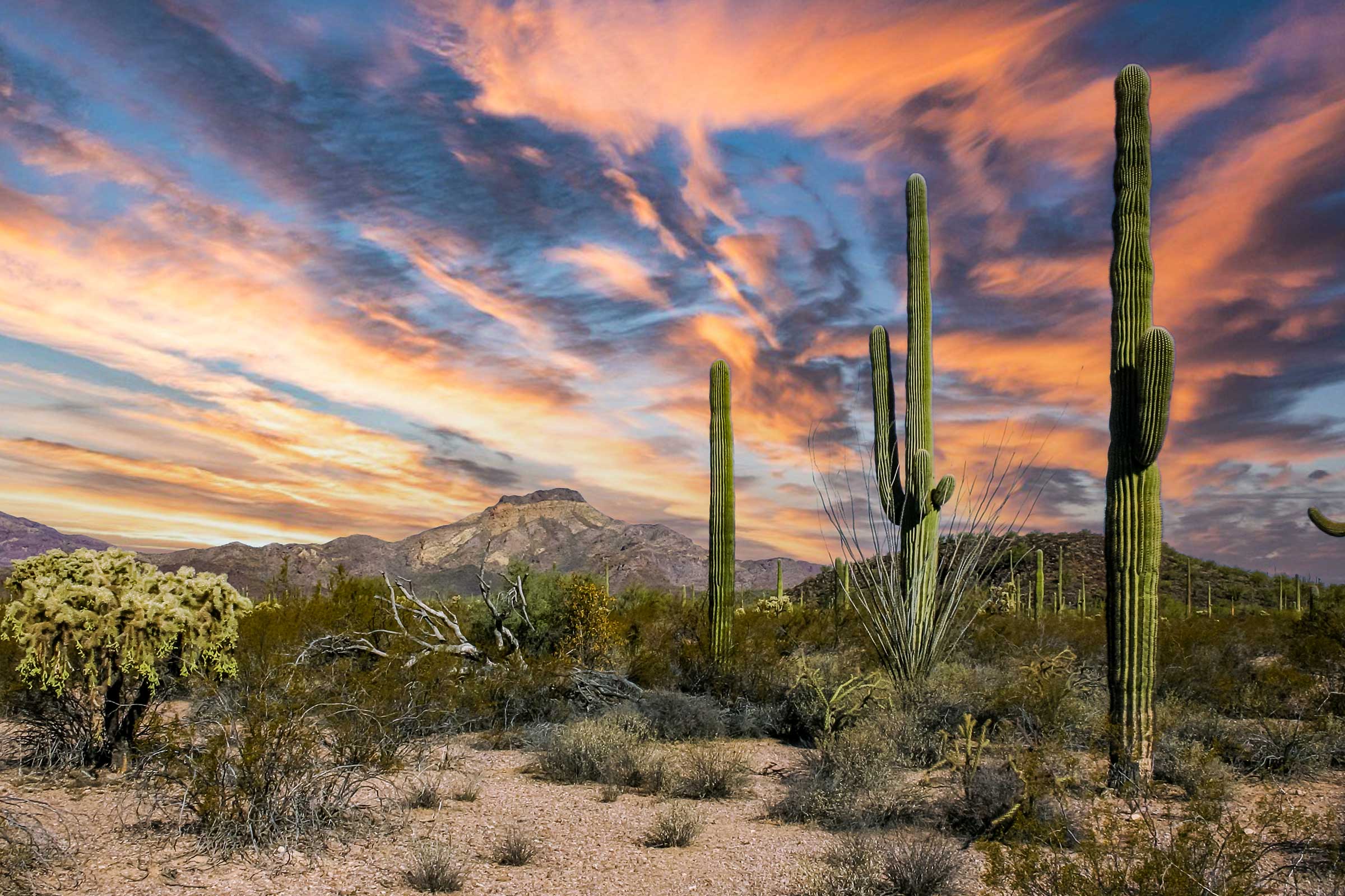 2400x1600 Saguaro National Park our National Parks