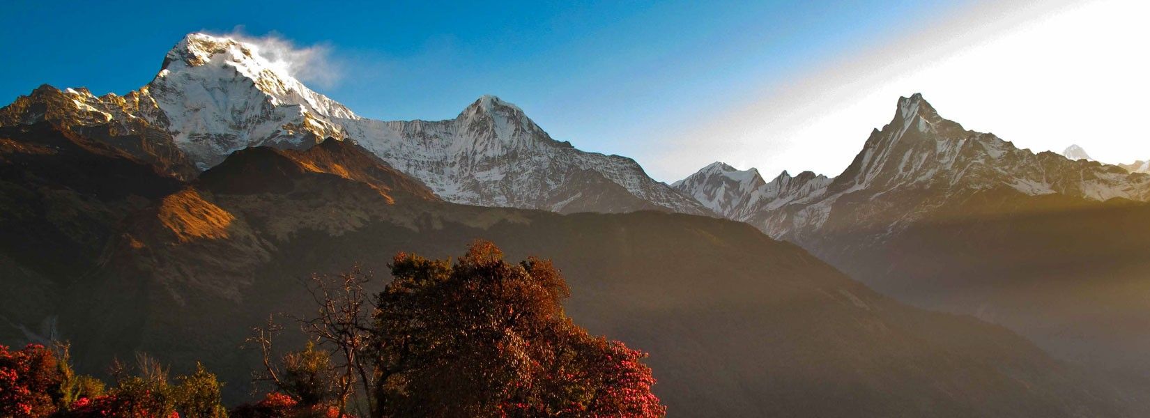 1650x600 Poon Hill Trek: 4 Days Itinerary with the best cost