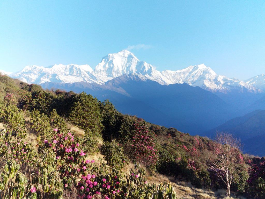1024x768 Reasons to Trek Ghorepani Poon Hill. Ace the Himalaya