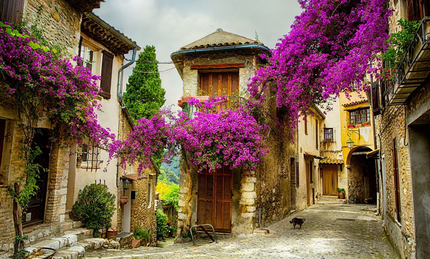 1440x868 Provence travel Planet. France, Europe