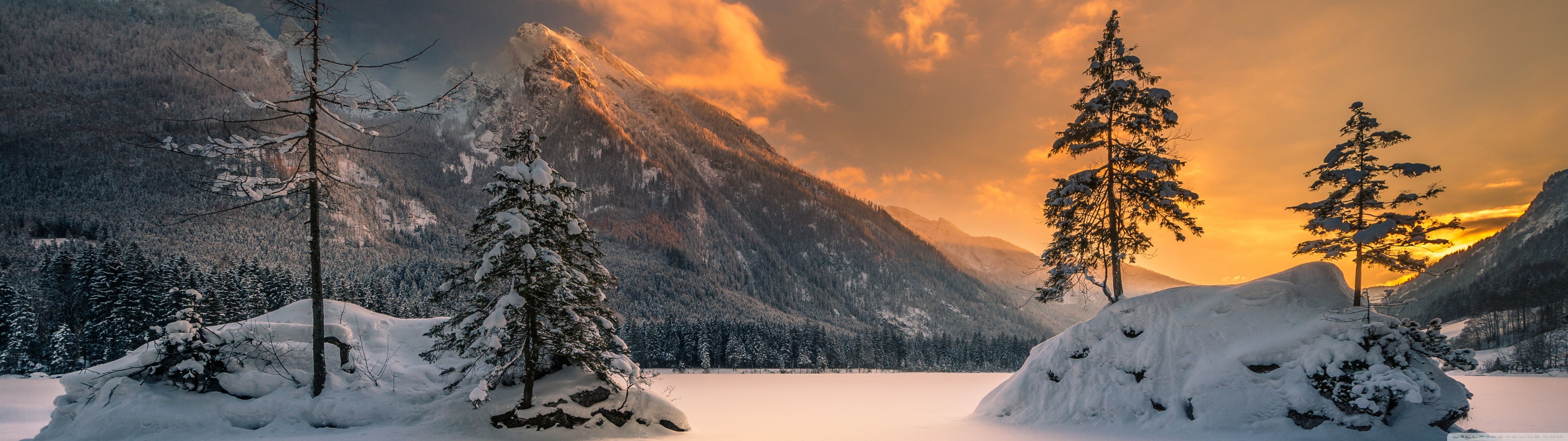 5120x1440 Winter Forest Wallpaper