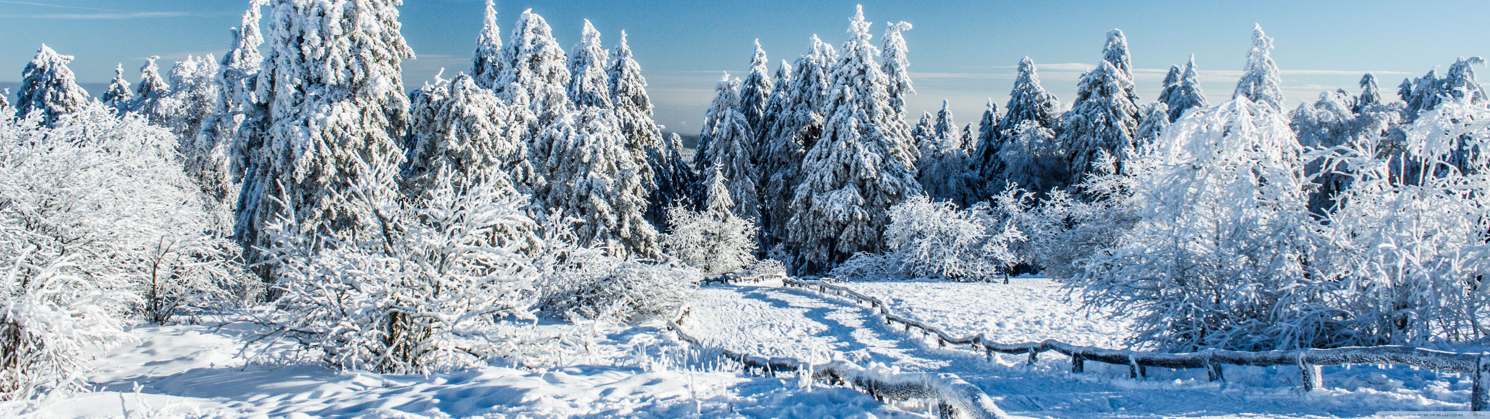 5120x1440 Winter Wallpaper
