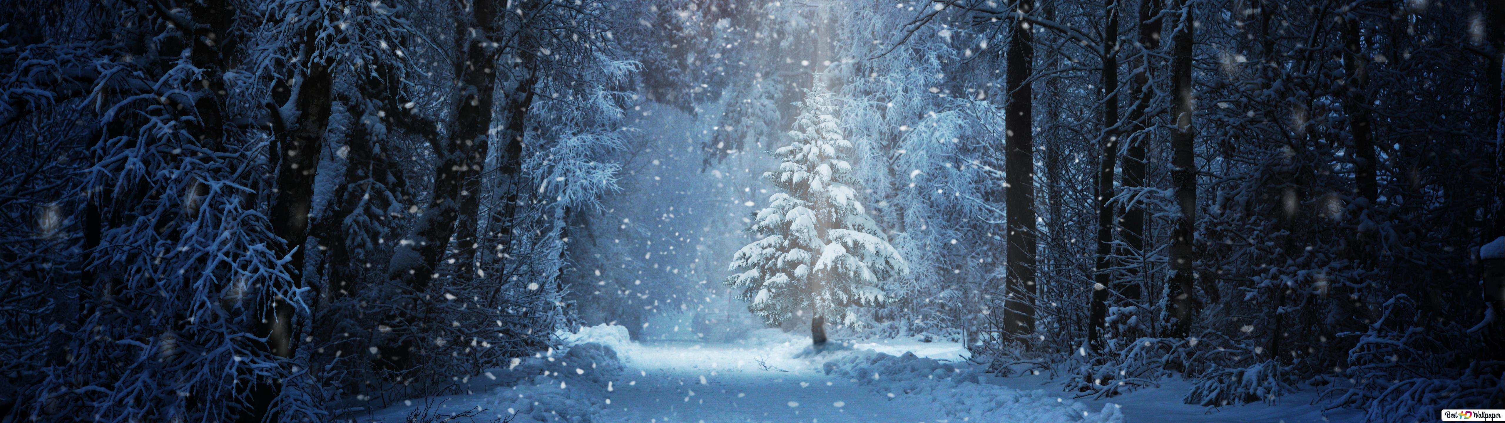 5120x1440 Dark Winter 5120x1440 Wallpaper