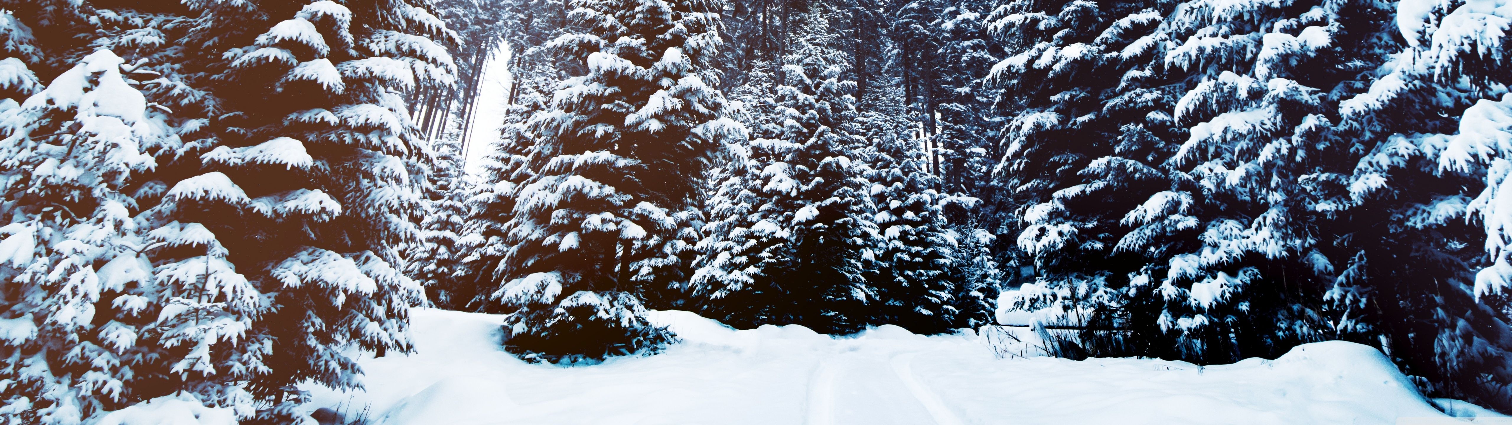 5120x1440 Winter Landscape Nature 4K UHD Wallpaper for UltraHD Desktop and TV : Widescreen and UltraWide Display : Dual and Triple Monitor : Smartphone and Tablet Devices