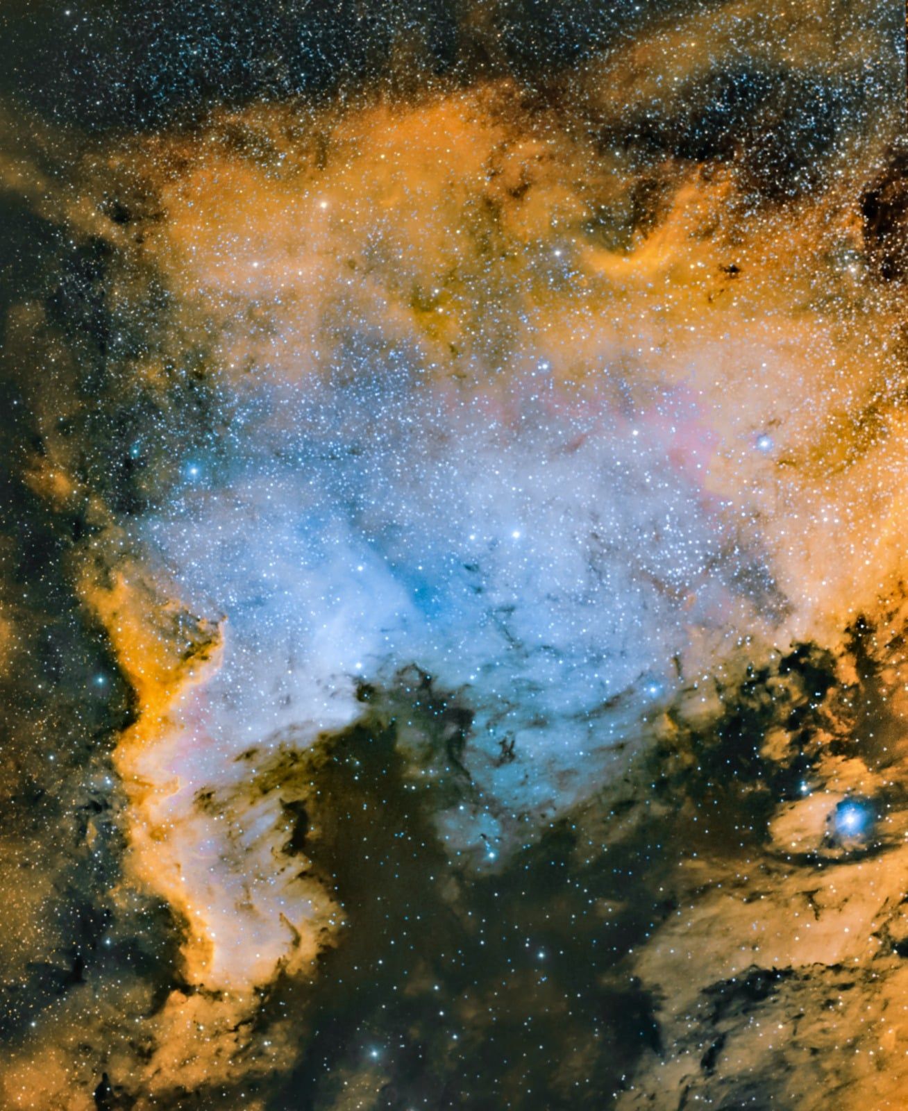 1308x1600 I took a picture of the North America Nebula!