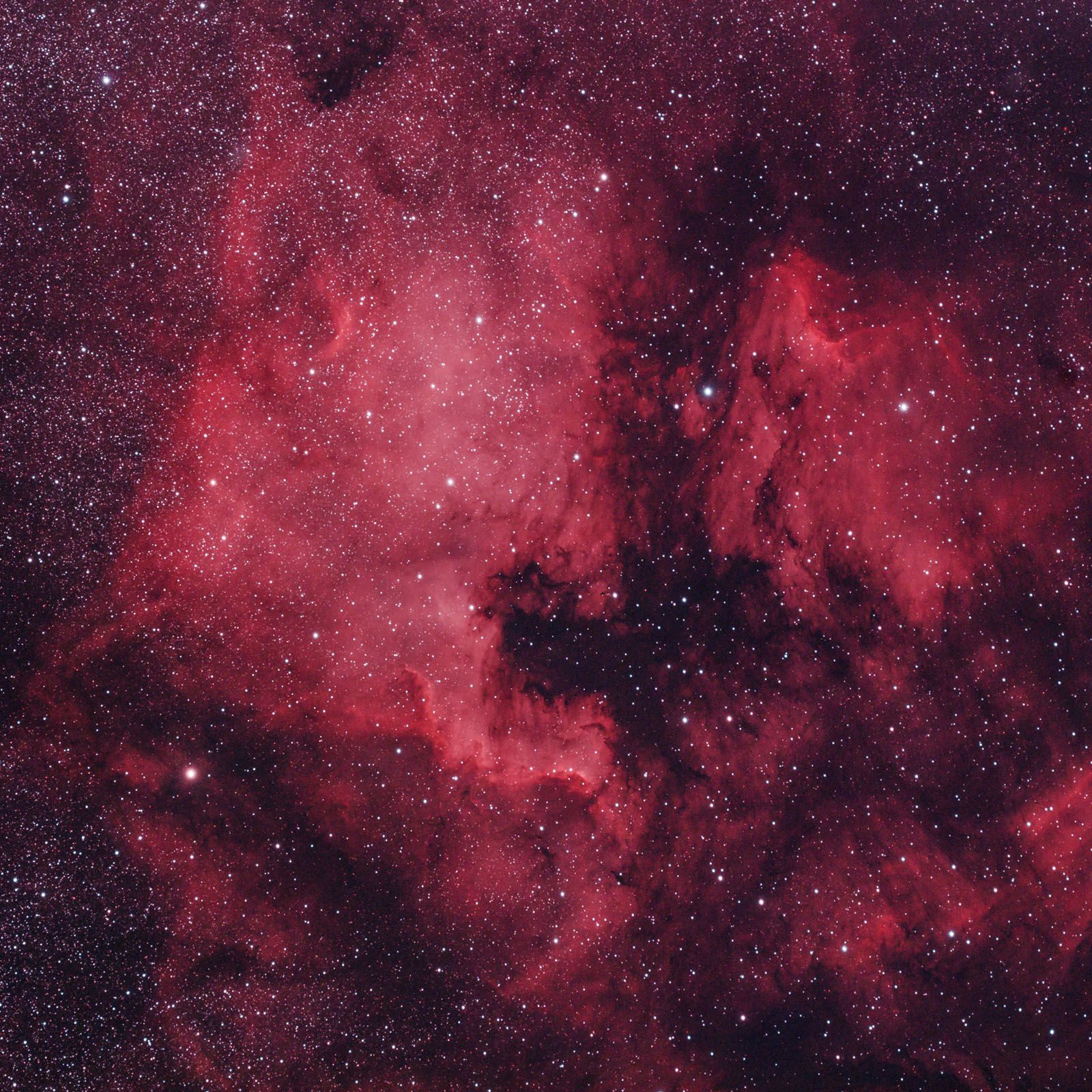 1600x1600 NGC7000 North America Nebula Salzgeber photography