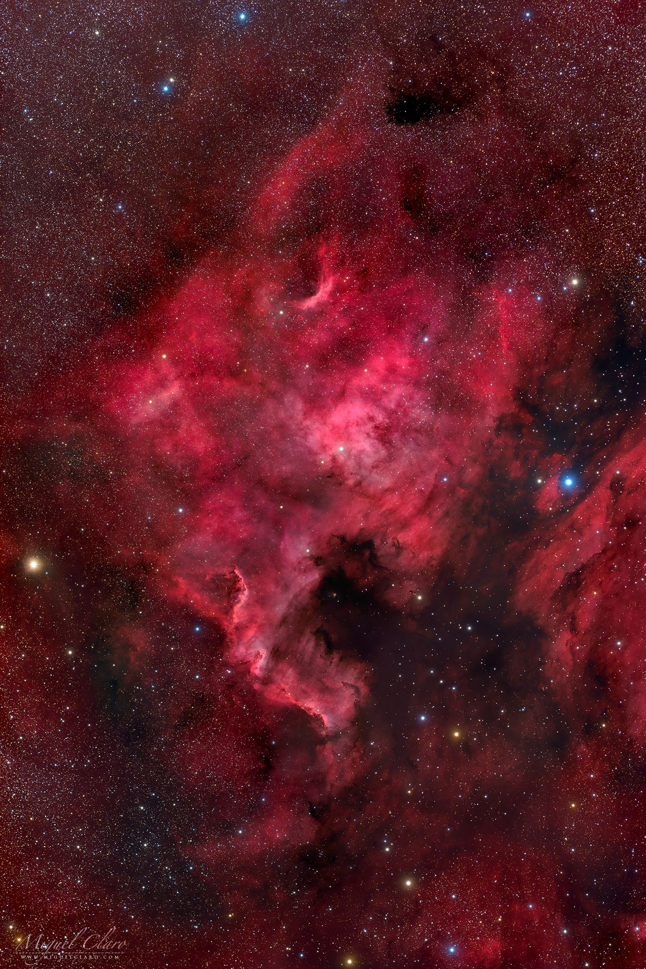 1330x1995 NGC 7000 North America Nebula Revealing Complex Structures Of Fine Details From Hydrogen Alpha Light Astrophotography By Miguel Claro