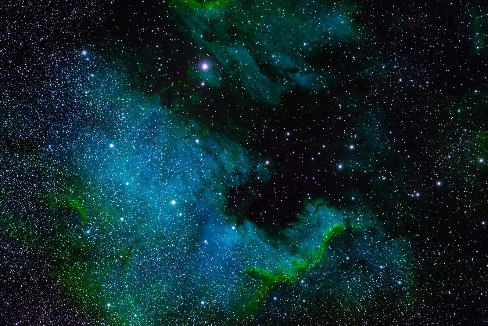 1600x1067 Cygnus Wall Space Photograph by Fringe Photography, LLC