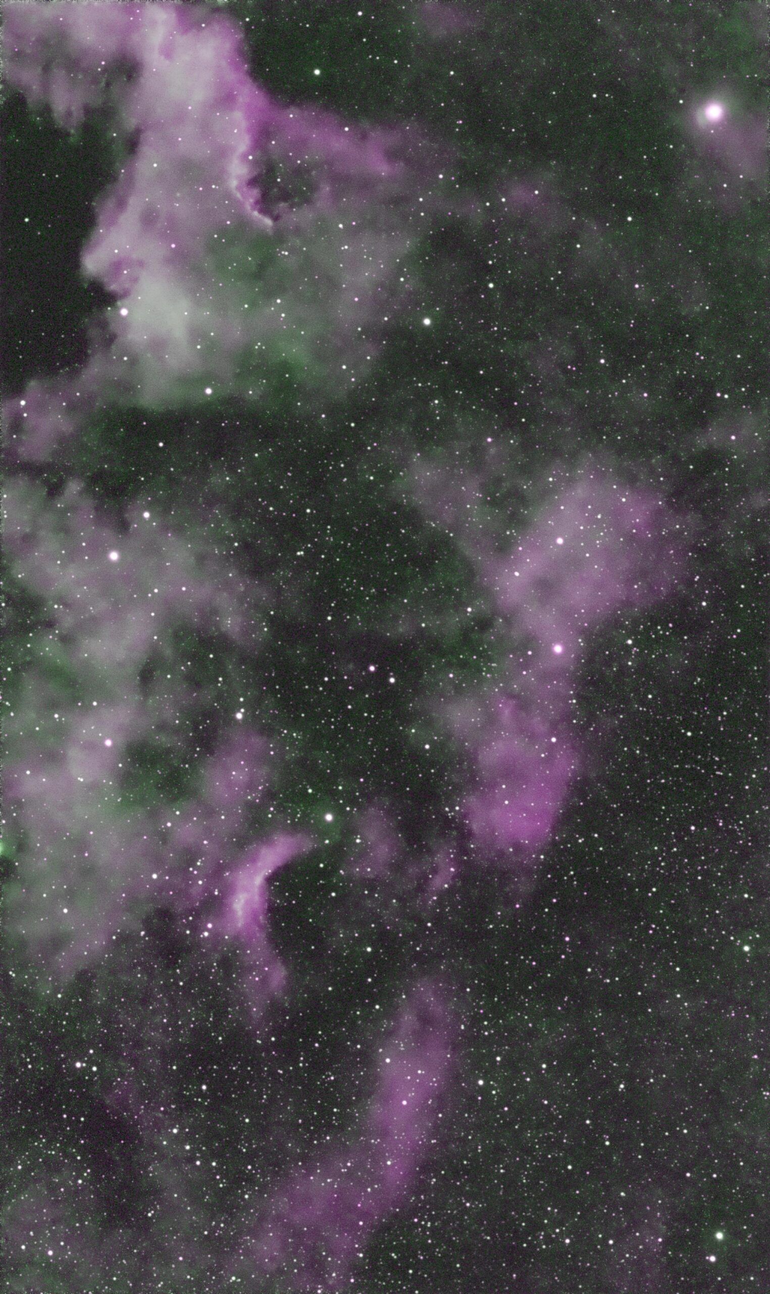 1525x2560 NGC 7000 American Nebula. Andy Williams