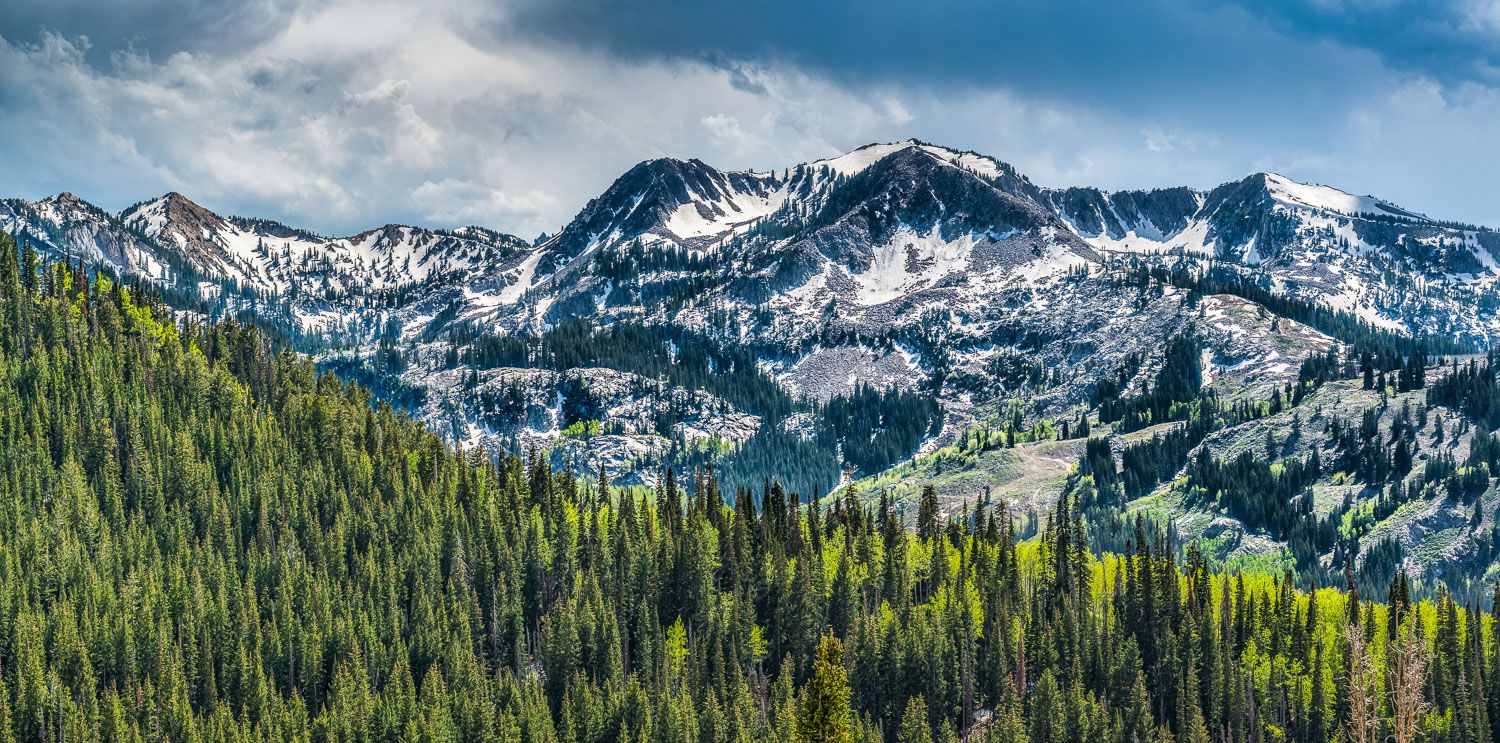 1500x743 Wasatch Wallpaper