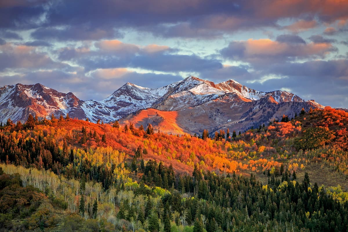 1200x799 Uinta Wasatch Cache National Forest: Peaks & 3D Map