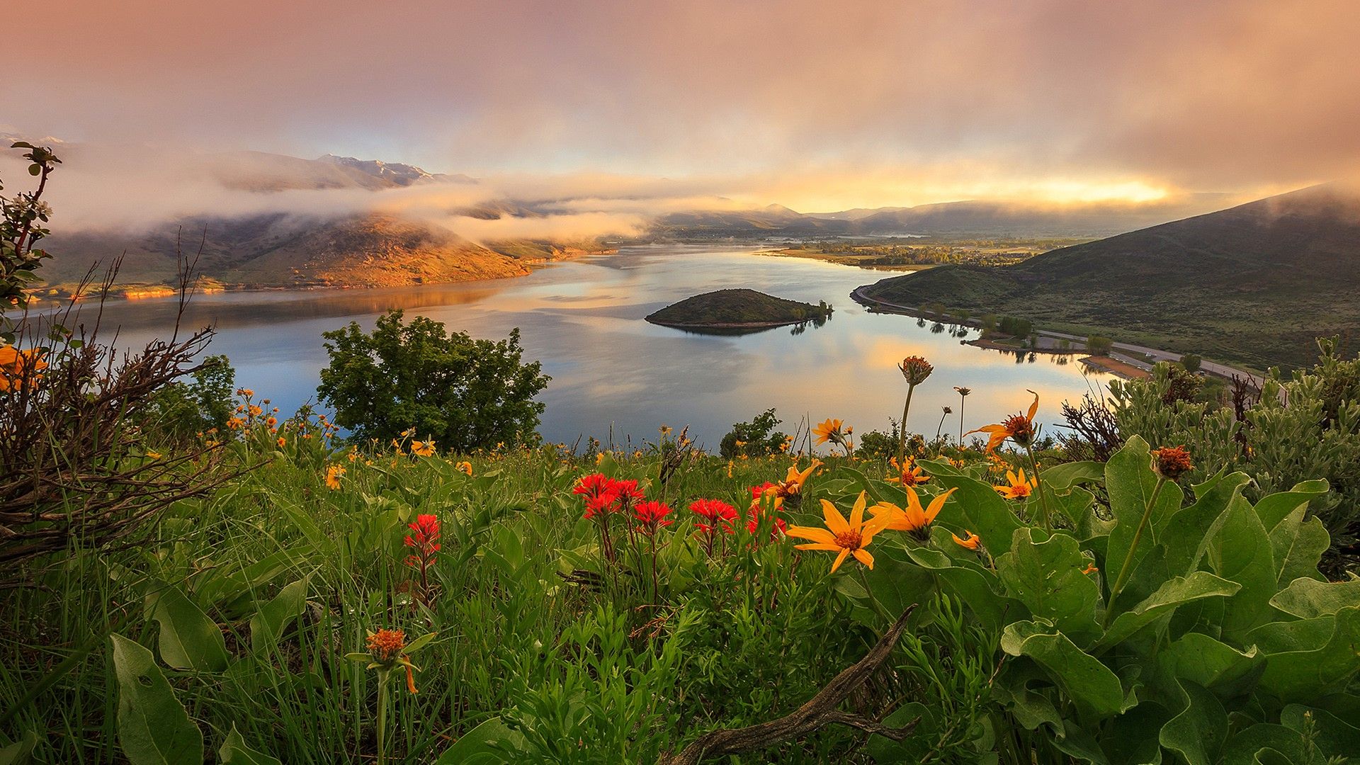 1920x1080 Sunrise with spring wildflowers in Heber Valley, Wasatch Mountains, Utah, USA. Windows Spotlight Image