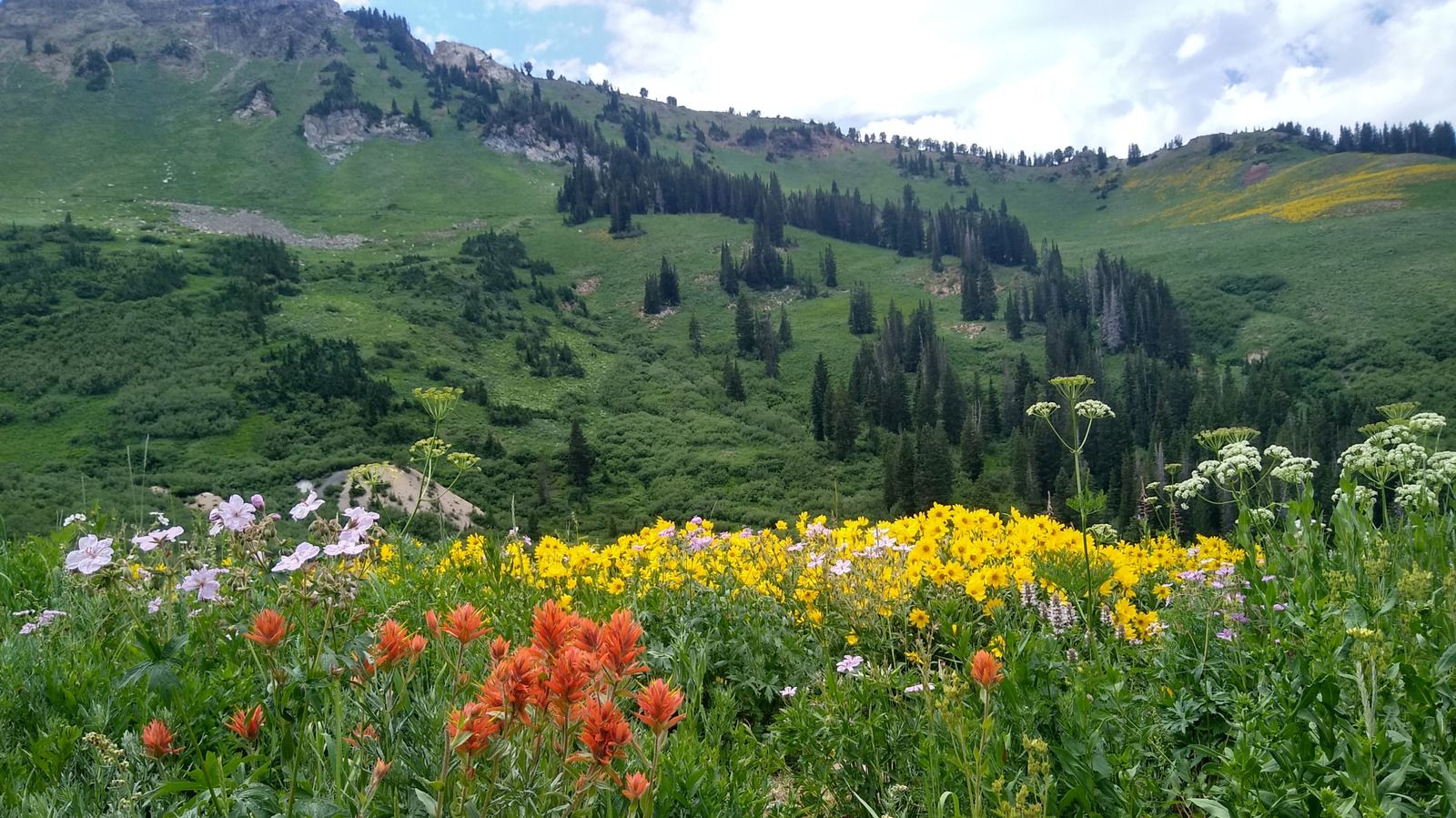1600x899 Utah's Best Suburb Is A Perfect Wasatch Mountain City With Breathtaking Views And Canyon Access