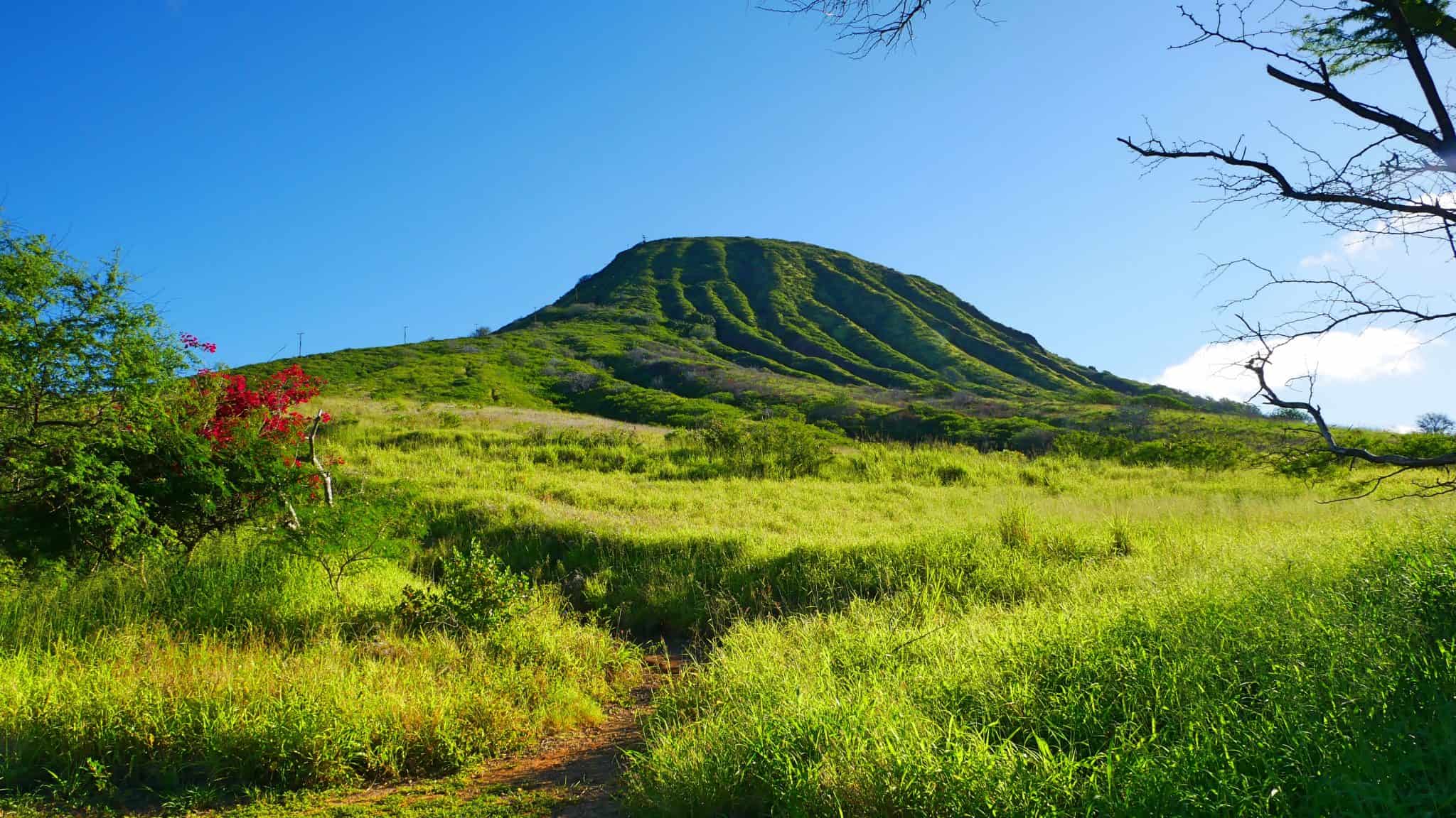 2048x1152 Surviving All 1048 Stairs To The Top Of Koko Head Trail