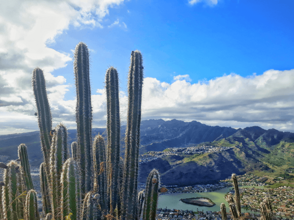 1024x768 The best guide to go Hiking the Koko Head Crater Trail