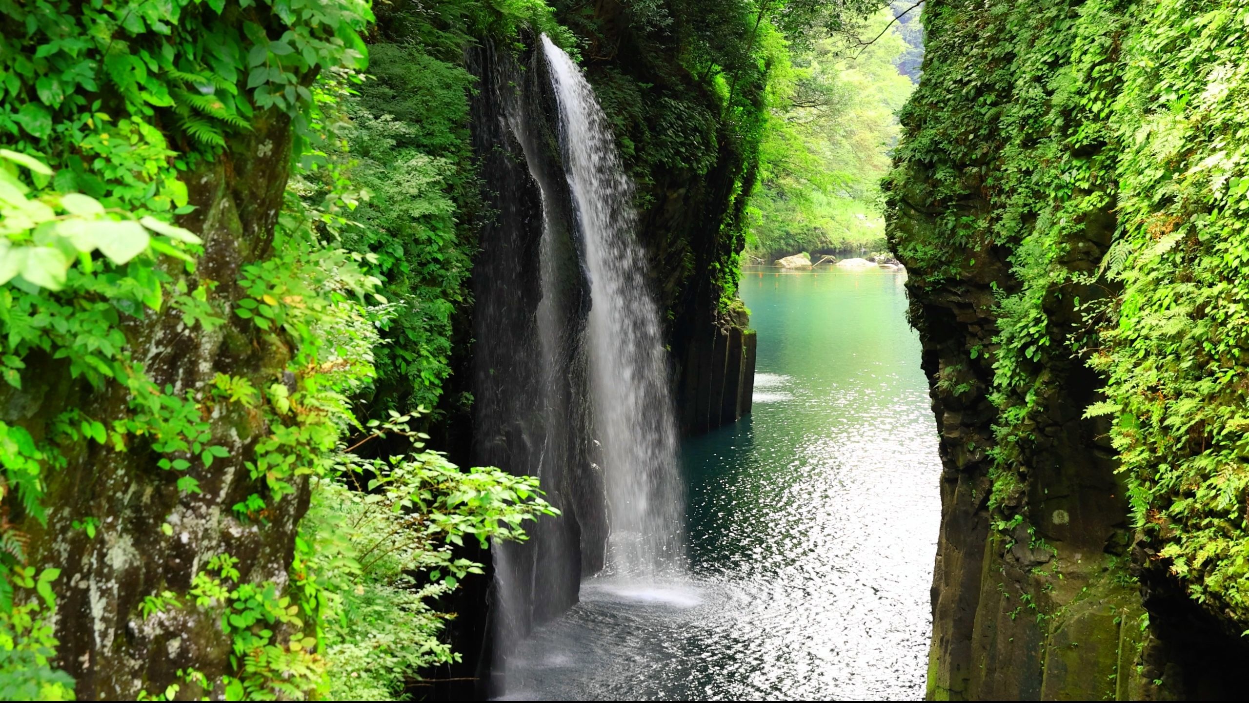 2560x1440 Enchanted Stream's Melody: The Mystical Beauty of Manai Falls of Japan