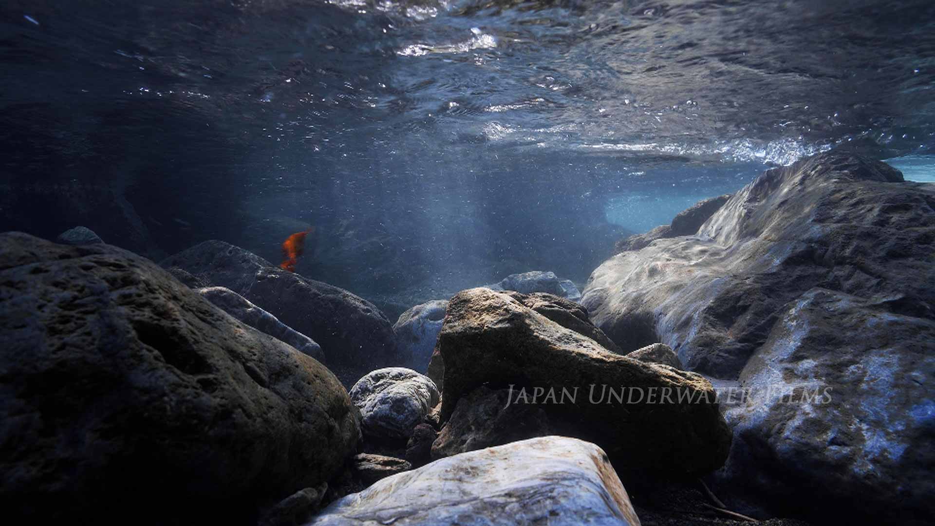 1920x1080 Crystal Clear Riverbed of Takachiho Underwater Films