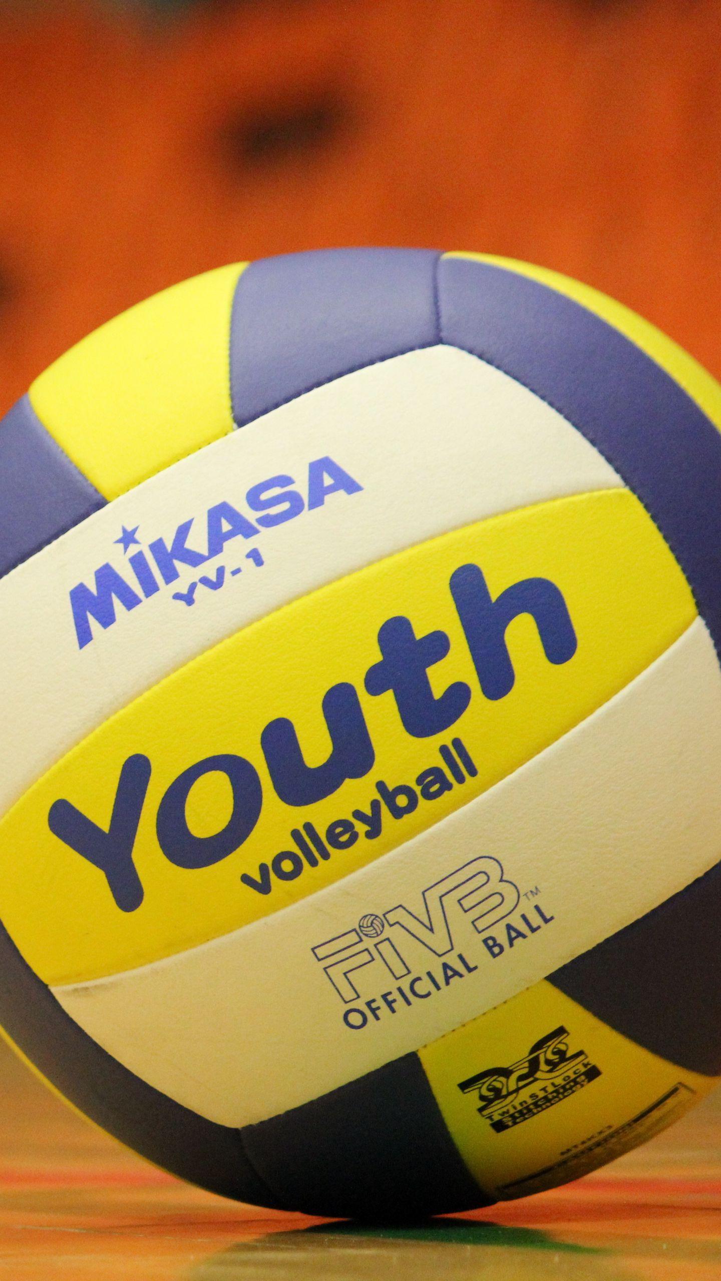 1440x2560 Download wallpaper 1440x2560 volleyball balls, volleyball, sports