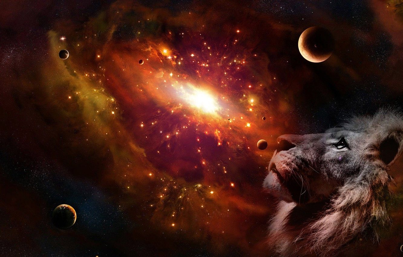 1332x850 Leo Collage Wallpaper