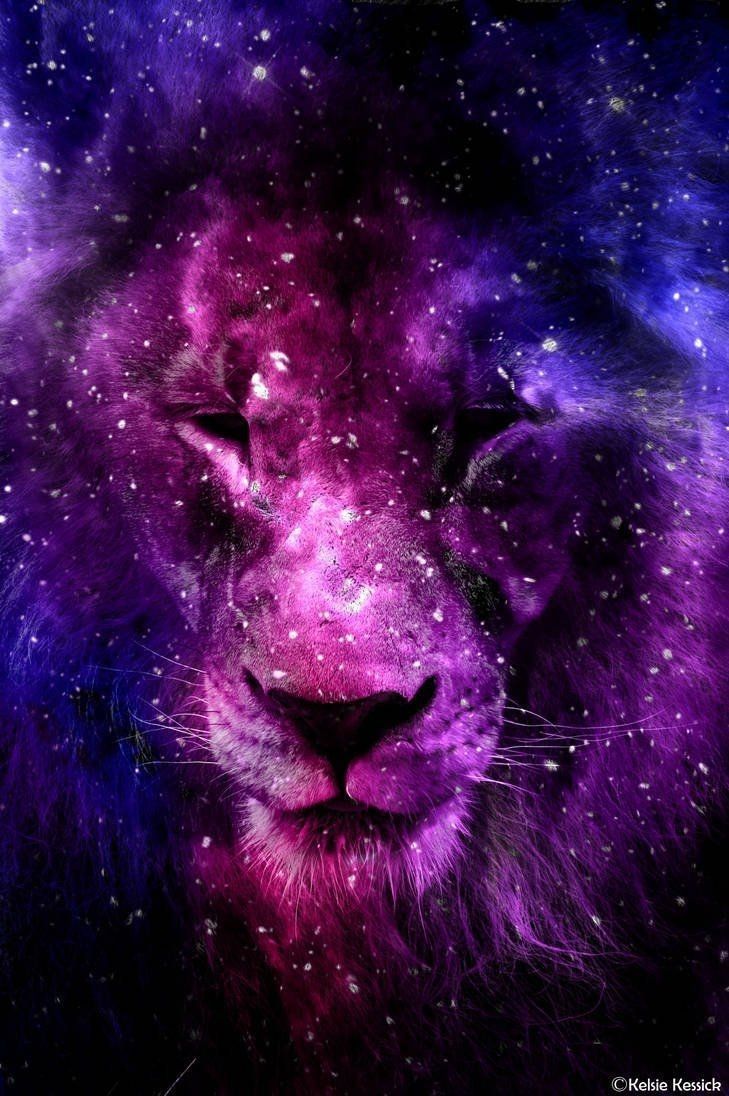 729x1096 Galaxy Lion