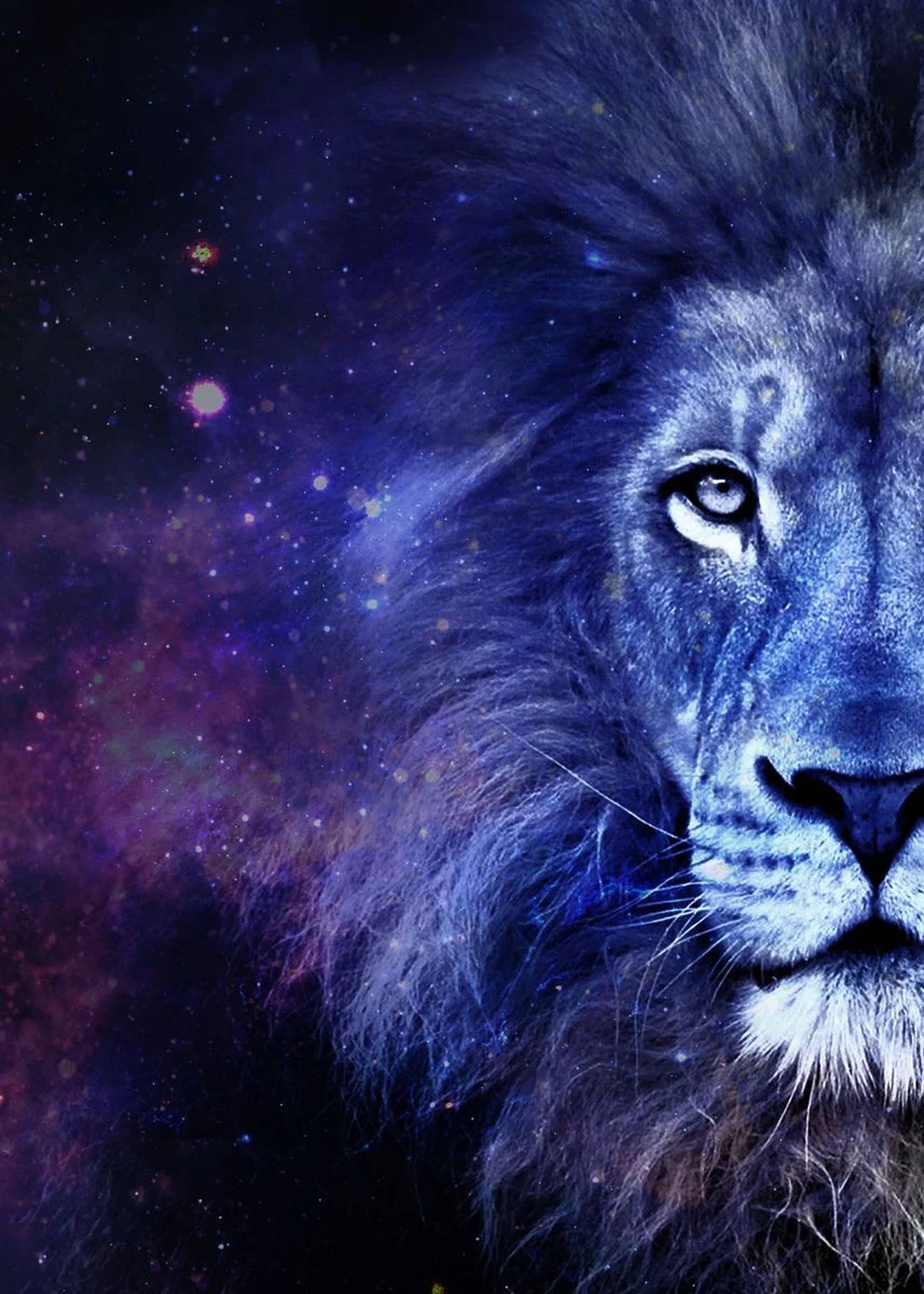 1371x1920 Download Purple Lion Galaxy Half Face Wallpaper
