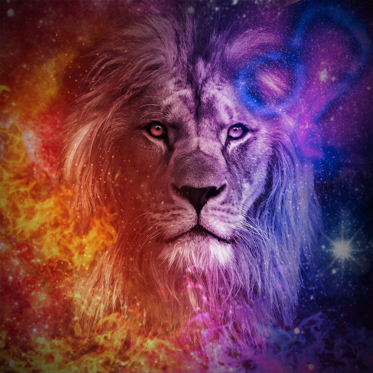 1300x1300 Leo Purple Wallpaper