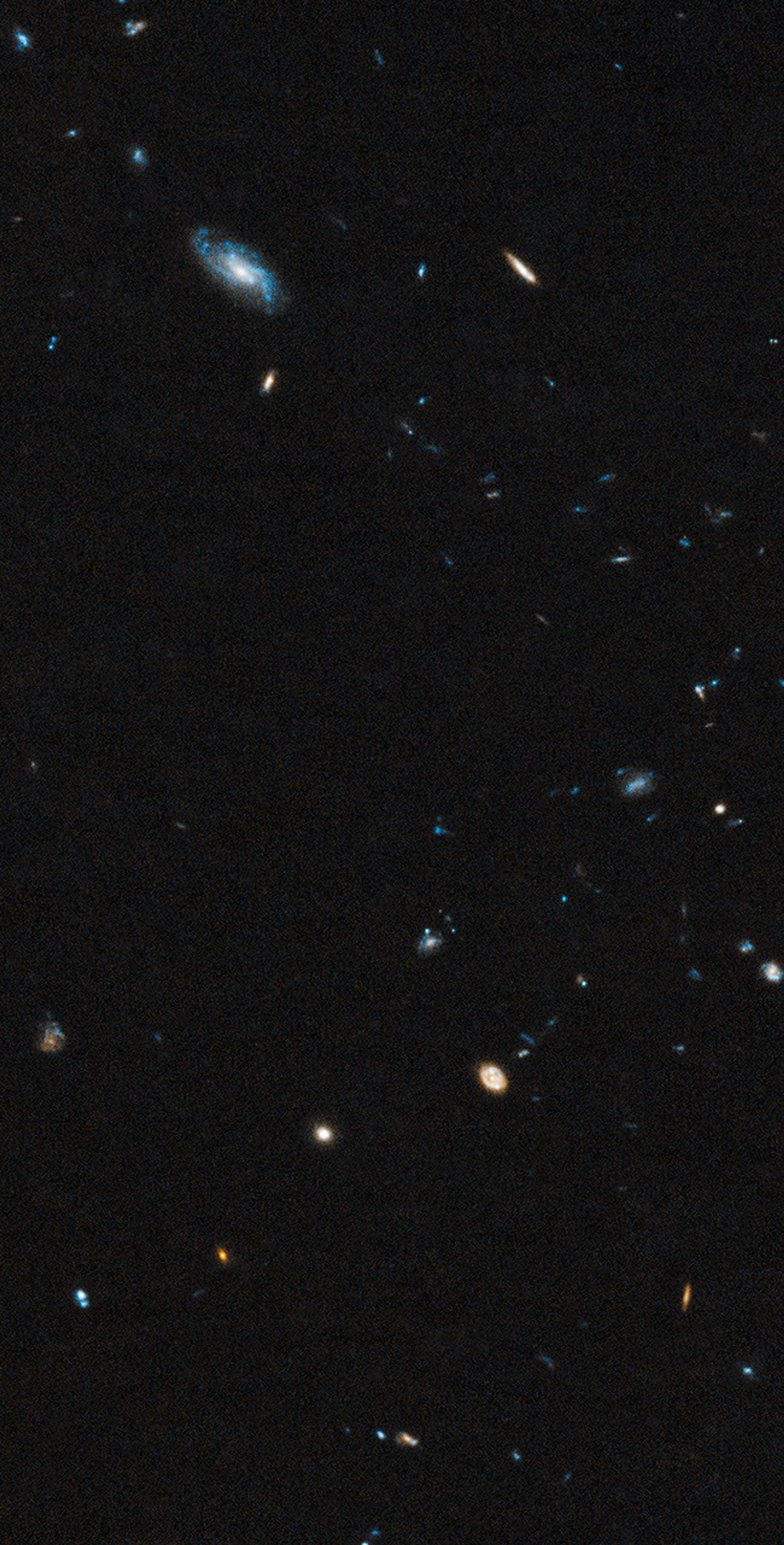 2000x3938 Background Galaxies in Leo IV Field
