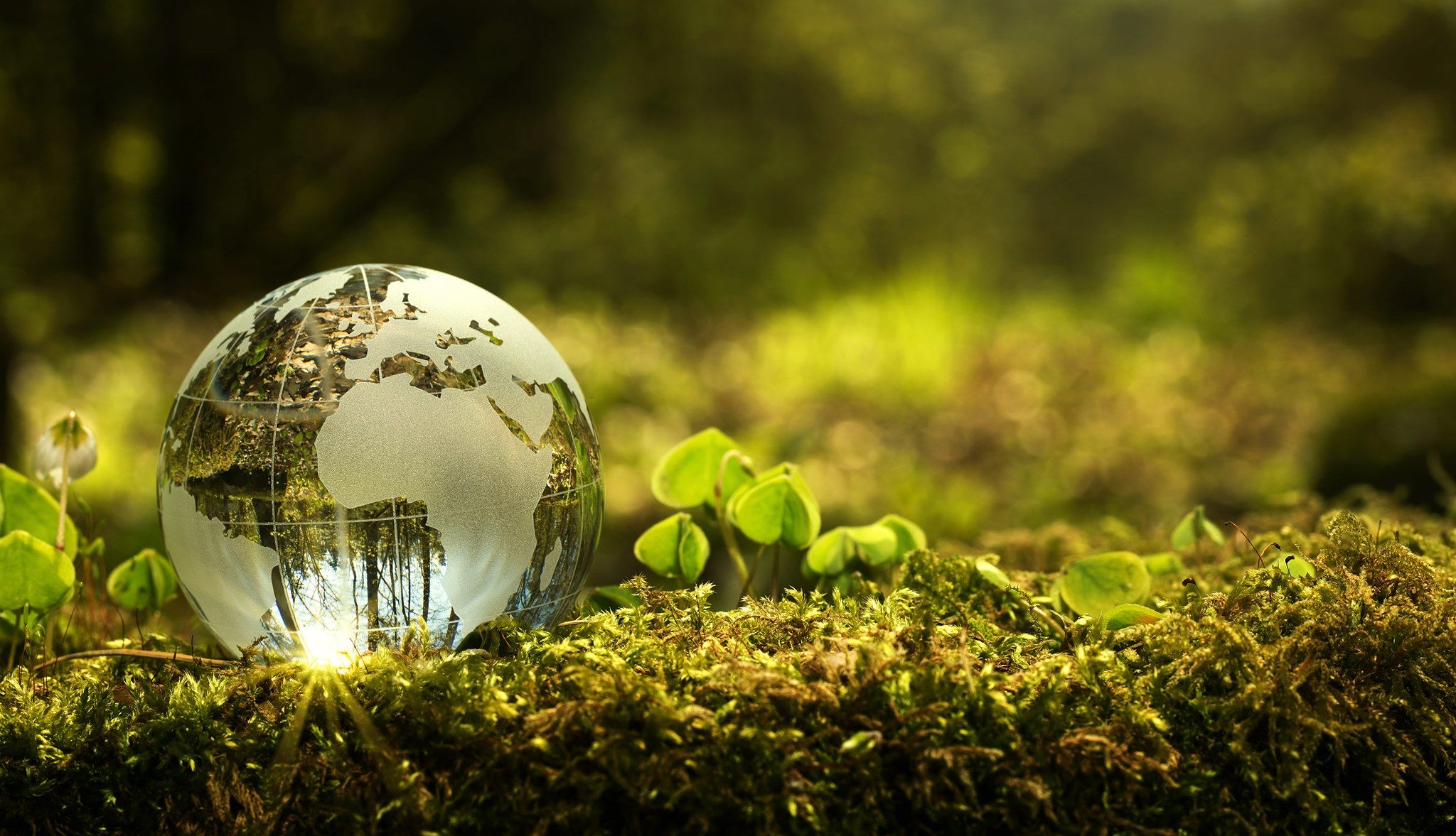 2048x1177 U.S. DoE to invest $75 mln in decarbonization tech