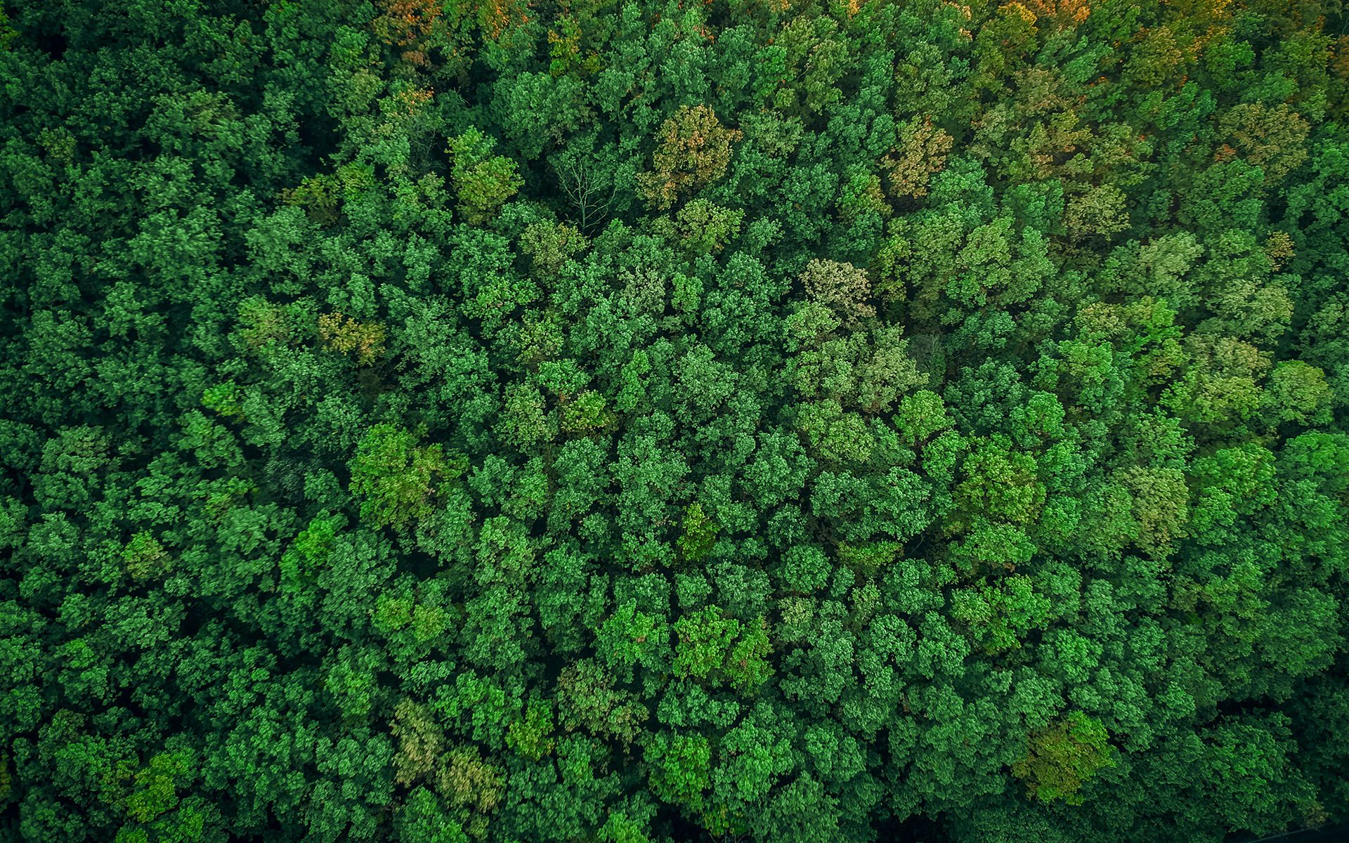 1920x1200 Decarbonation expertise
