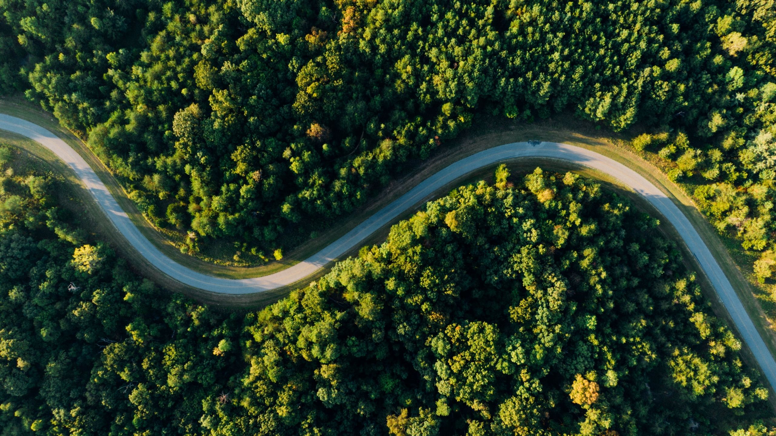 2560x1438 Strategic Energy Roadmap: Your Path to Decarbonization