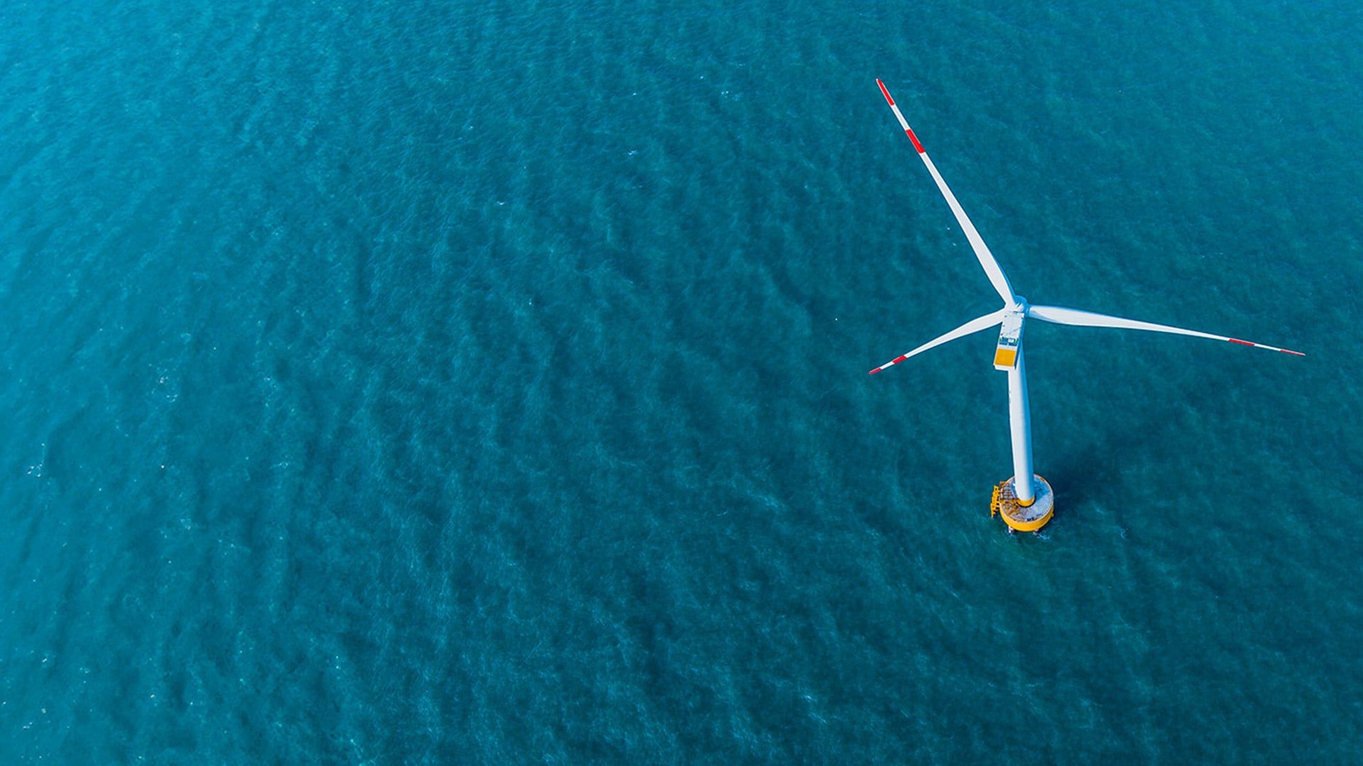 1920x1080 How CEOs Can Turn Decarbonization Setbacks into Progress. Bain & Company