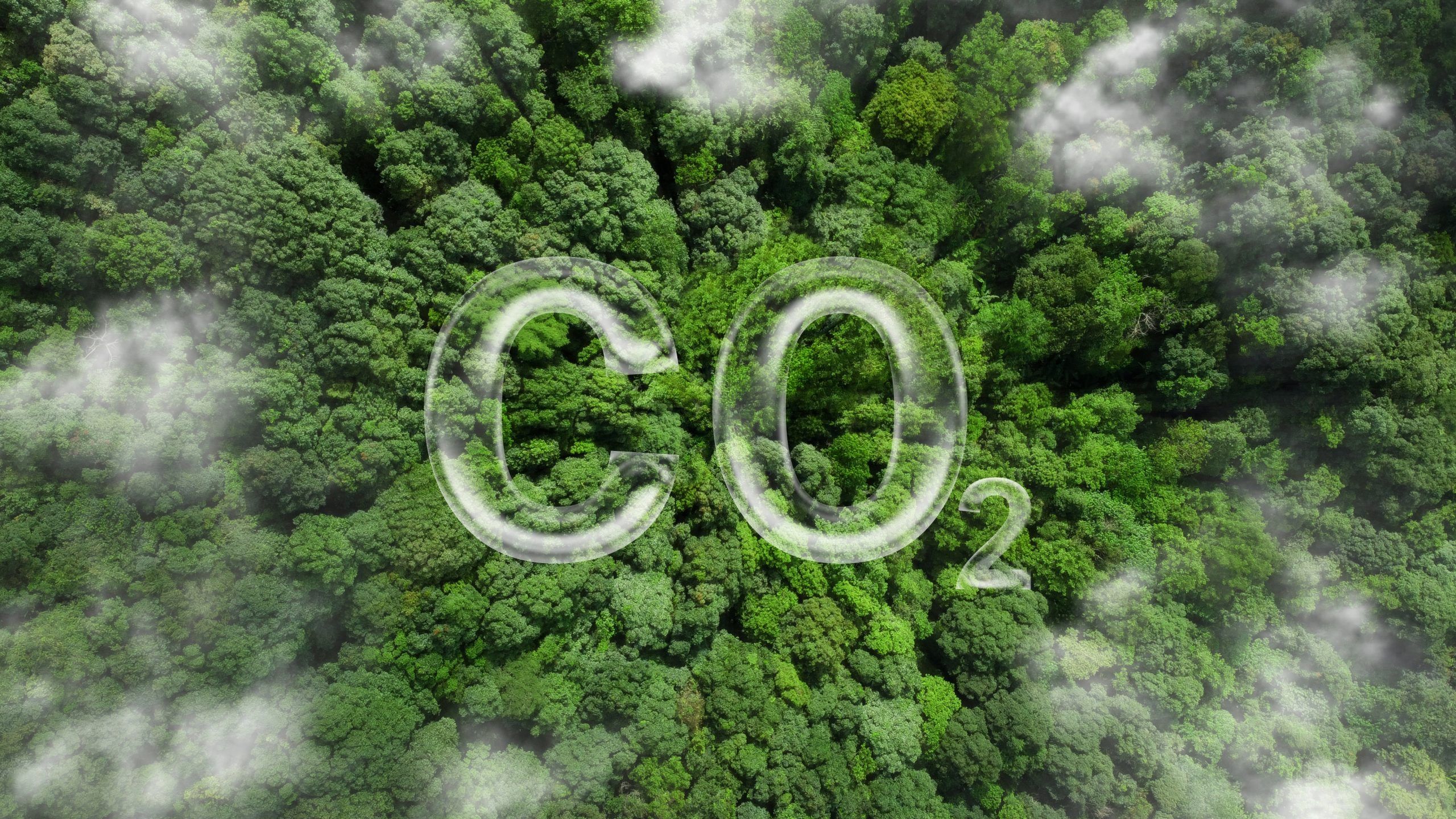 2560x1440 The journey toward decarbonization. Thermal Processing Magazine