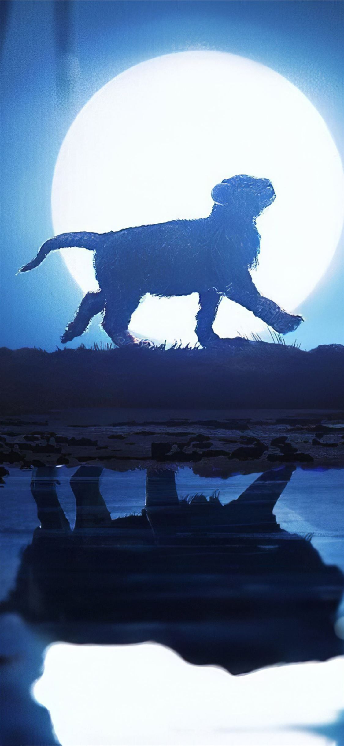 1125x2436 the lion king walk iPhone X Wallpaper Free Download