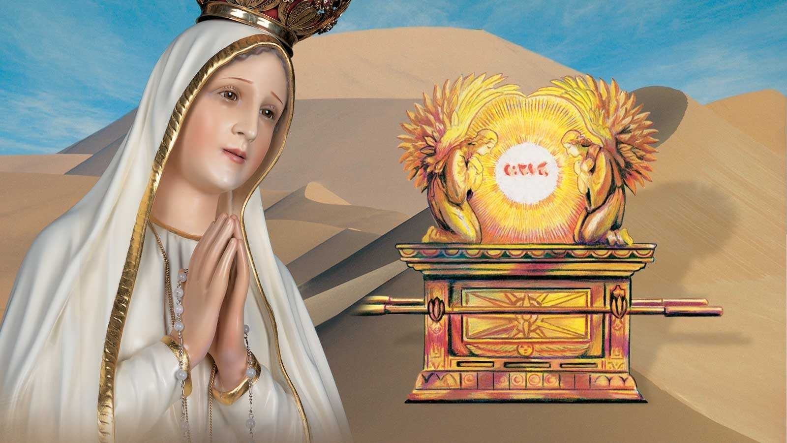 1600x900 America Needs Fatima