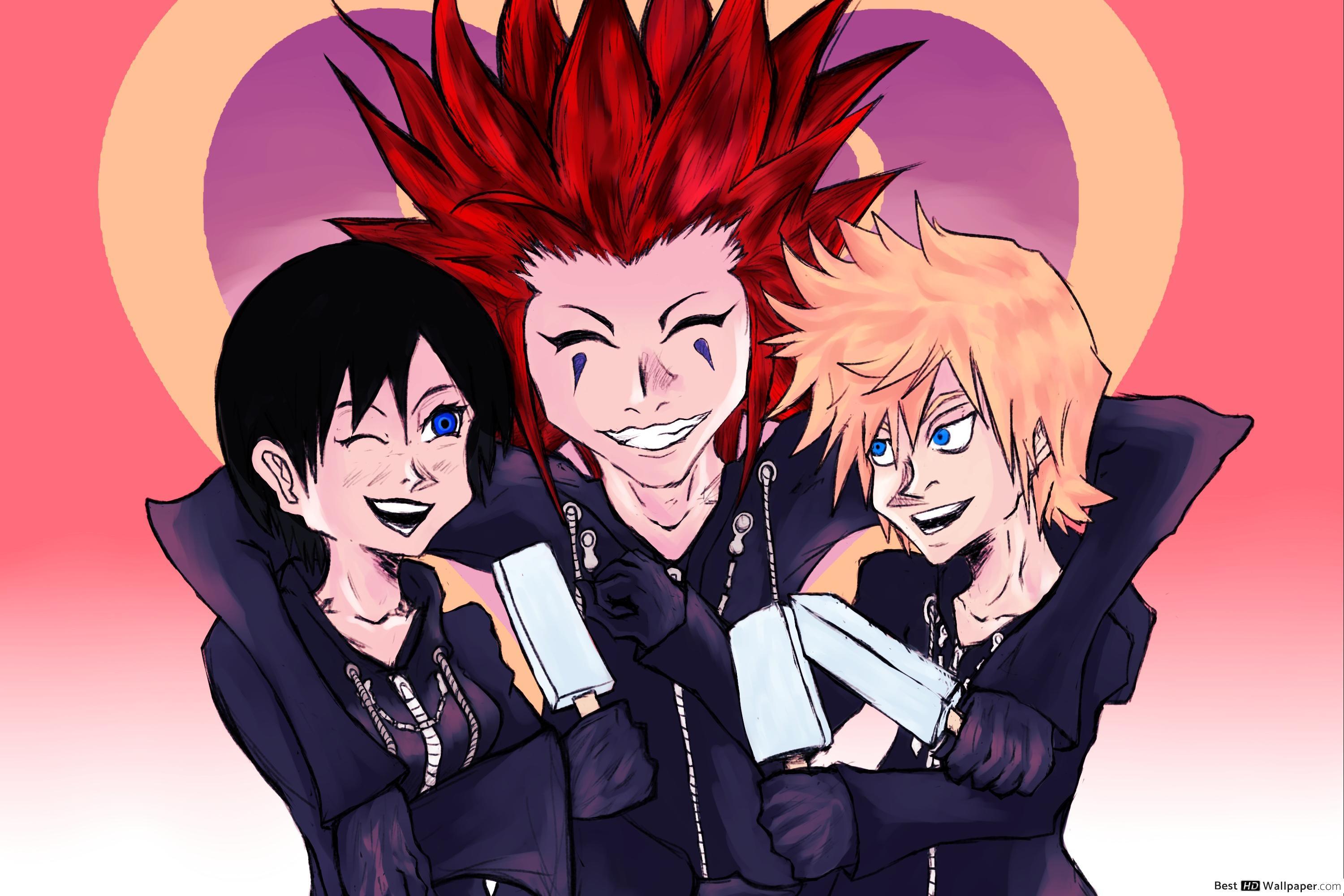 3000x2000 Kingdom Hearts, Roxas & Xion HD wallpaper download