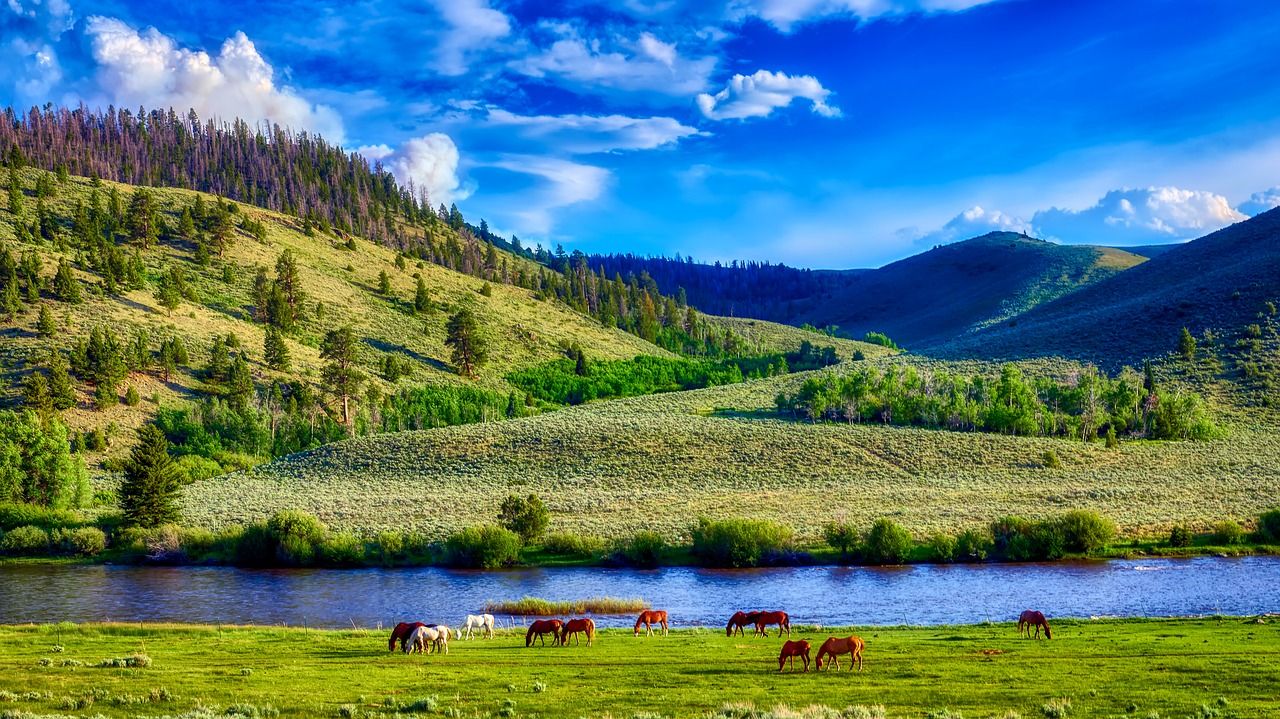 1280x719 Download free photo of Wyoming, america, landscape, scenic, mountains