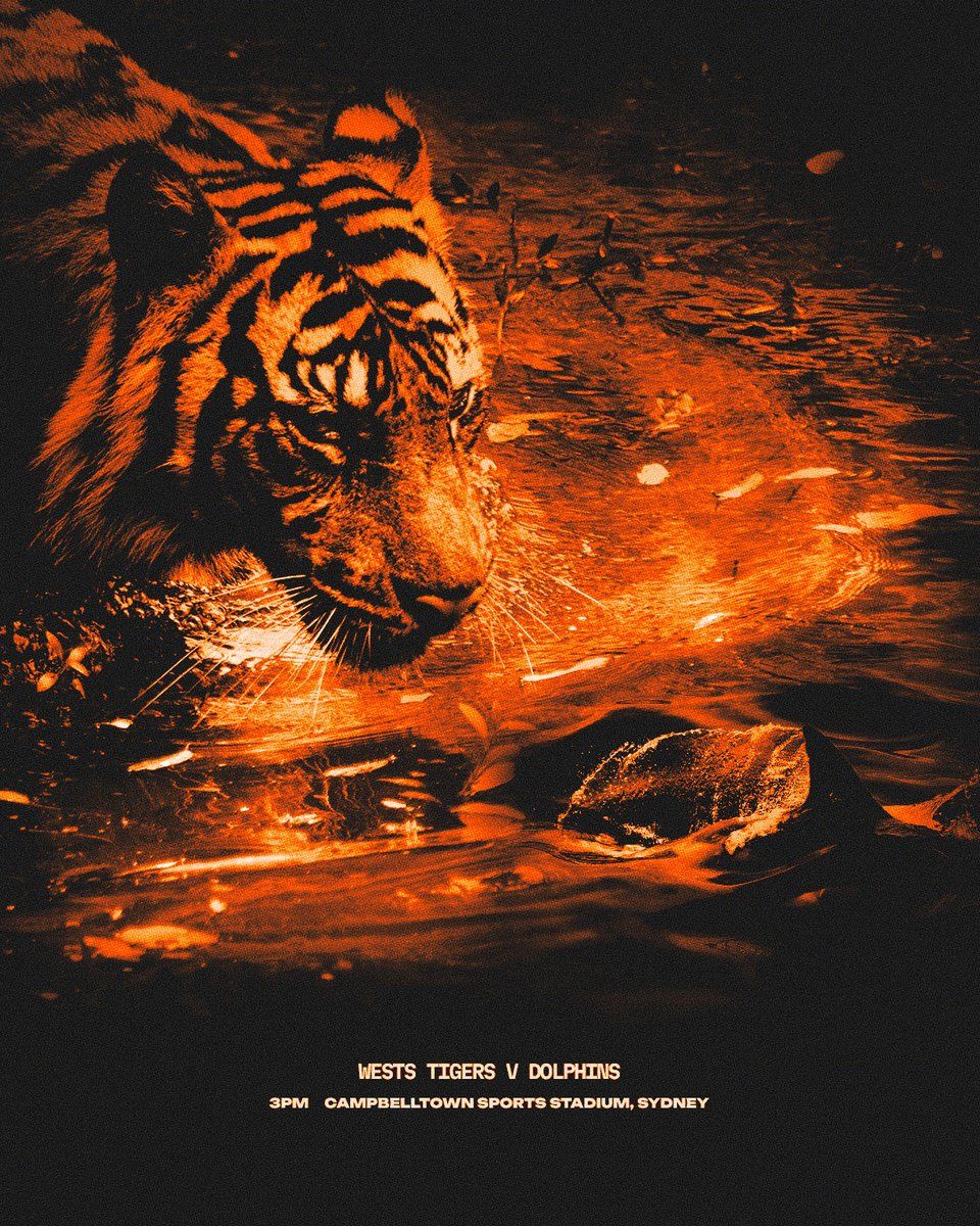 960x1200 Target acquired. #OneJungle