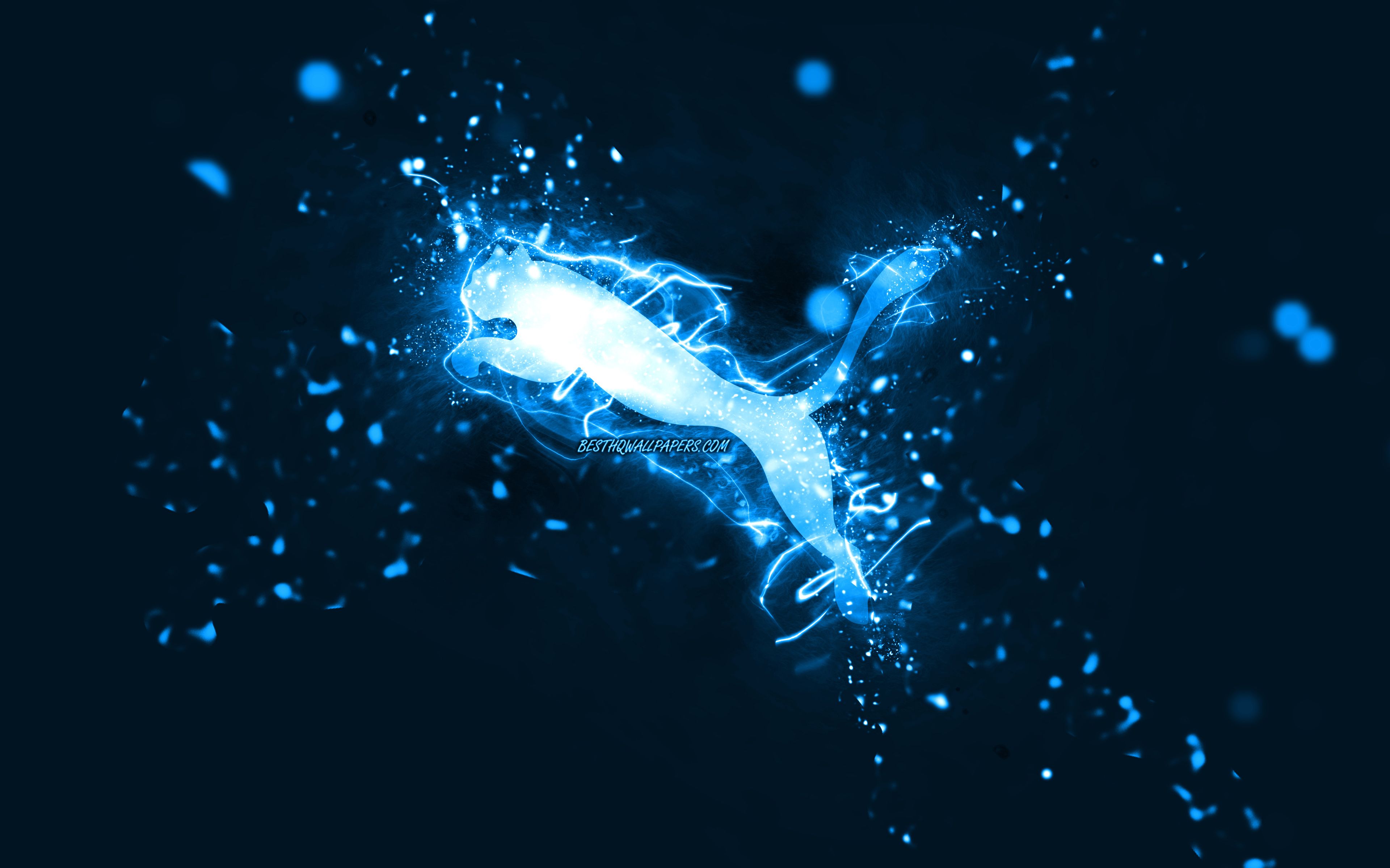 3840x2400 Puma Blue Wallpaper