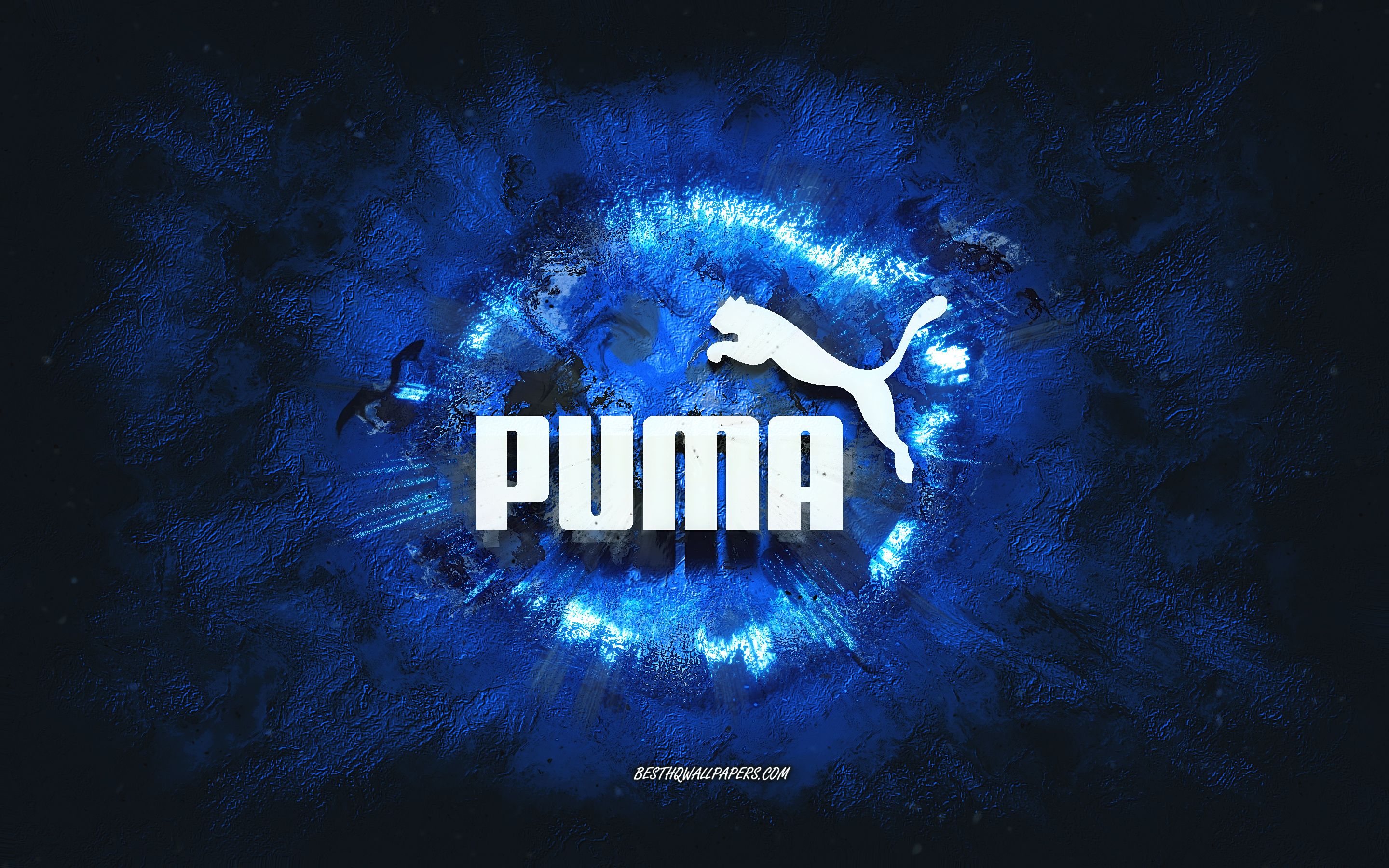 2880x1800 Puma Blue Wallpaper