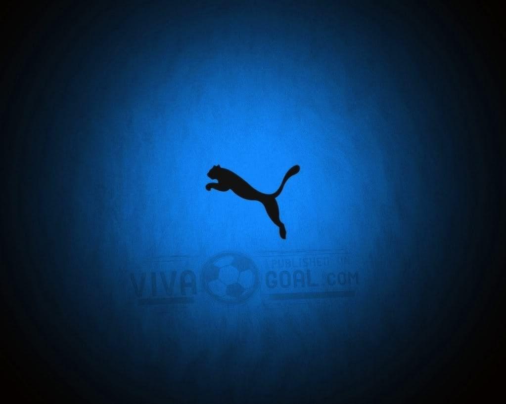 1023x818 Puma Logo Wallpaper