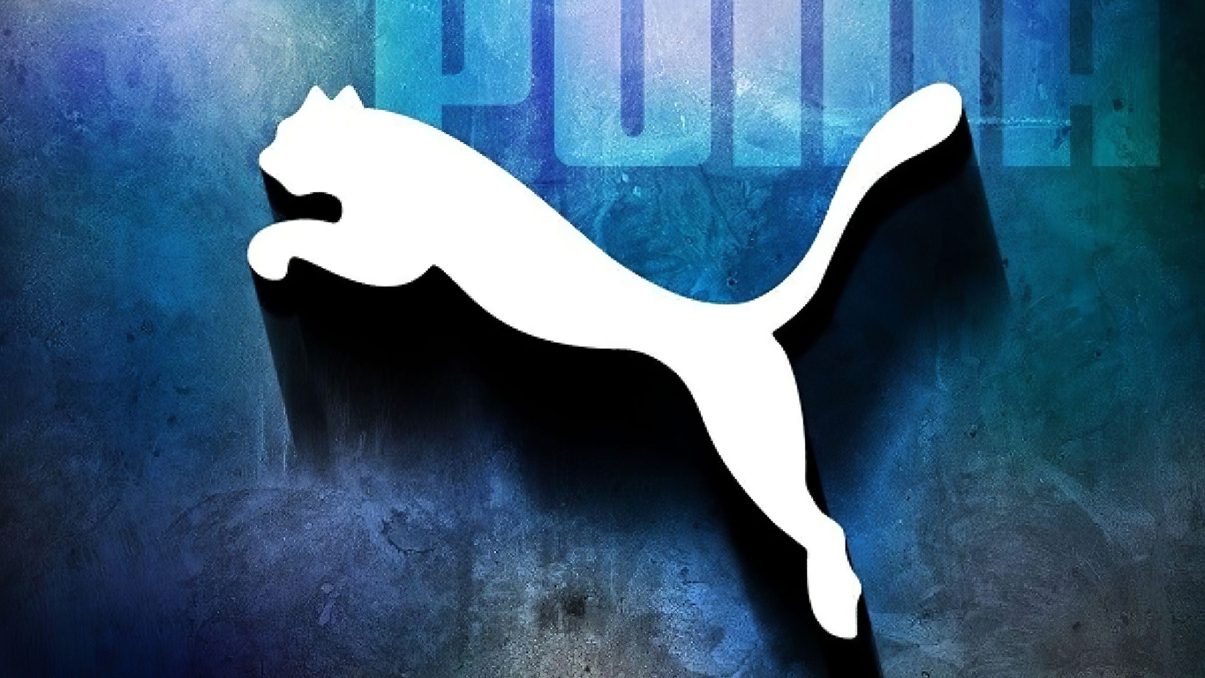 3840x2160 Puma Wallpaper